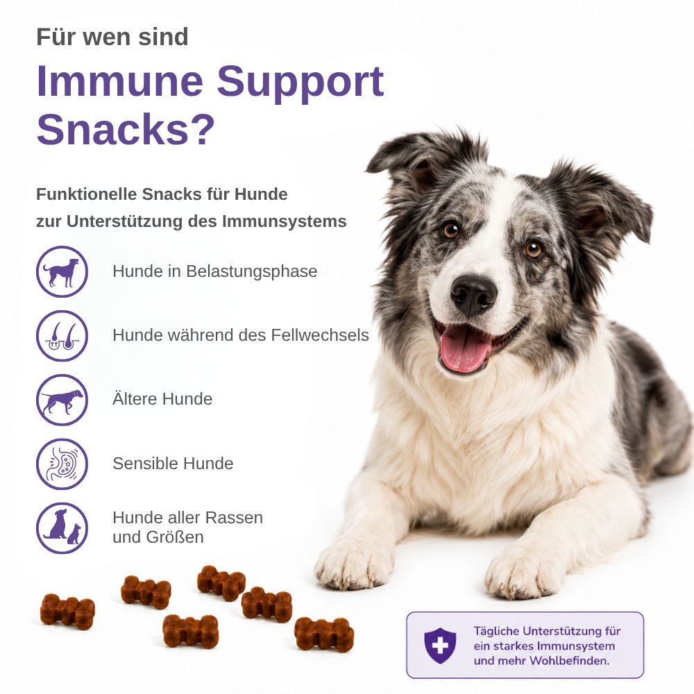 Cane sdraiato accanto a testo sugli snack per il sistema immunitario e icone di gruppi di cani.