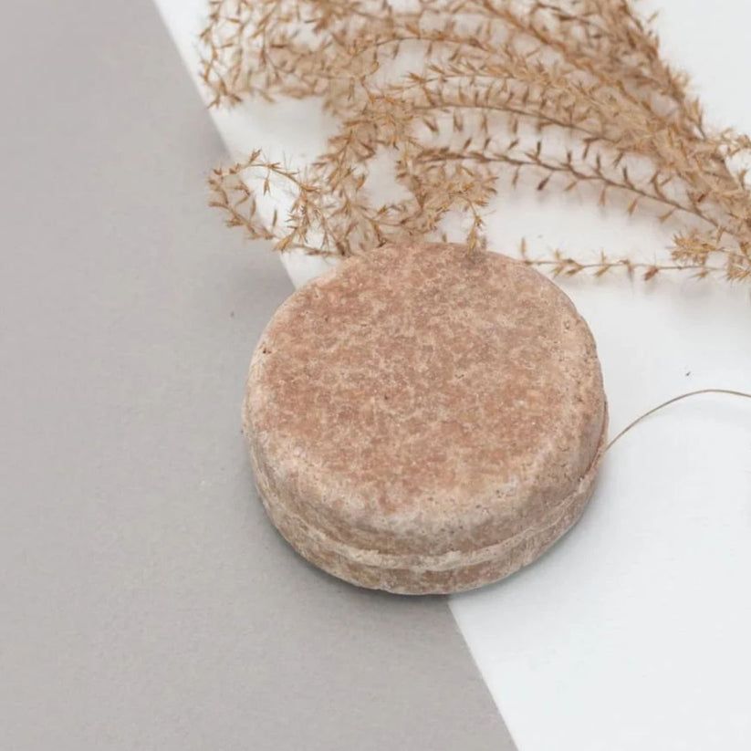 Blocco esfoliante solido rotondo. Pianta secca sullo sfondo. Sfondo grigio e bianco.