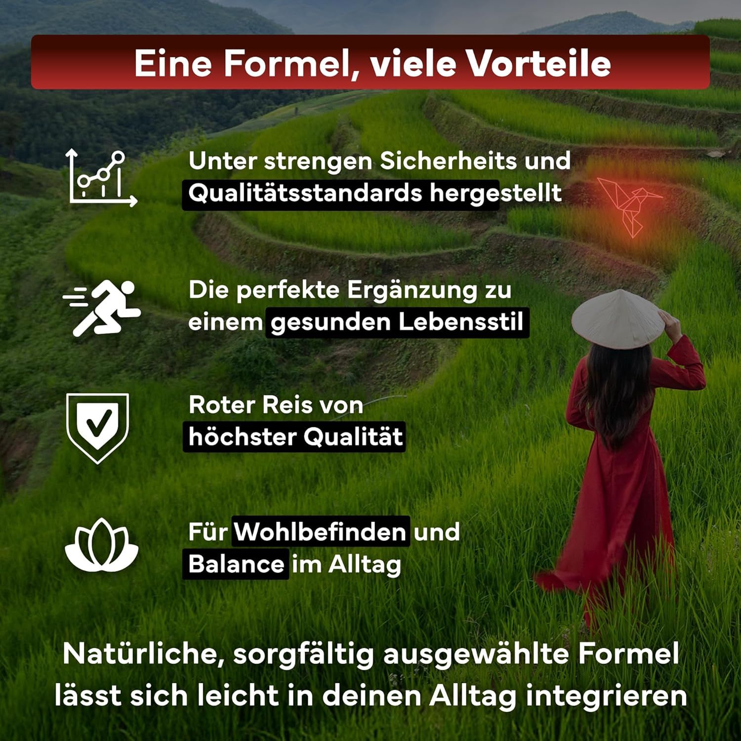 SEVENS NUTRITION Riso rosso fermentato: Prodotto secondo rigorosi standard di qualità per uno stile di vita sano.