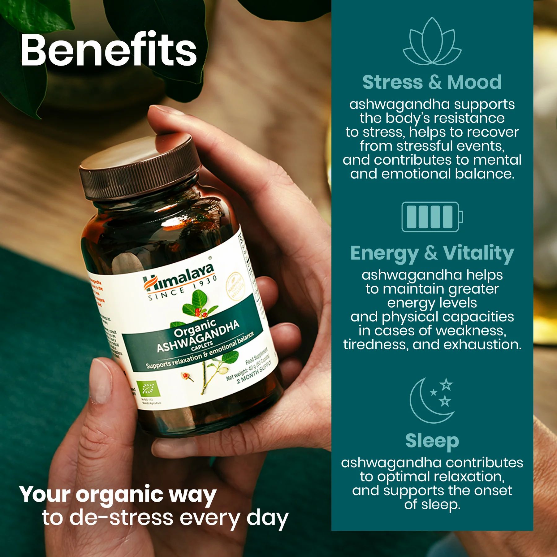 Mani che tengono flacone di capsule. Testo: Himalaya Organic Ashwagandha, Benefici.