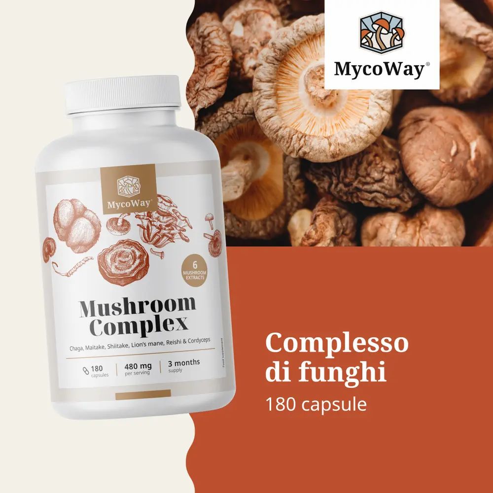 Sfondo marrone con flacone bianco. Scritta: Mushroom Complex. 180 capsule. Contiene L-Leucina.