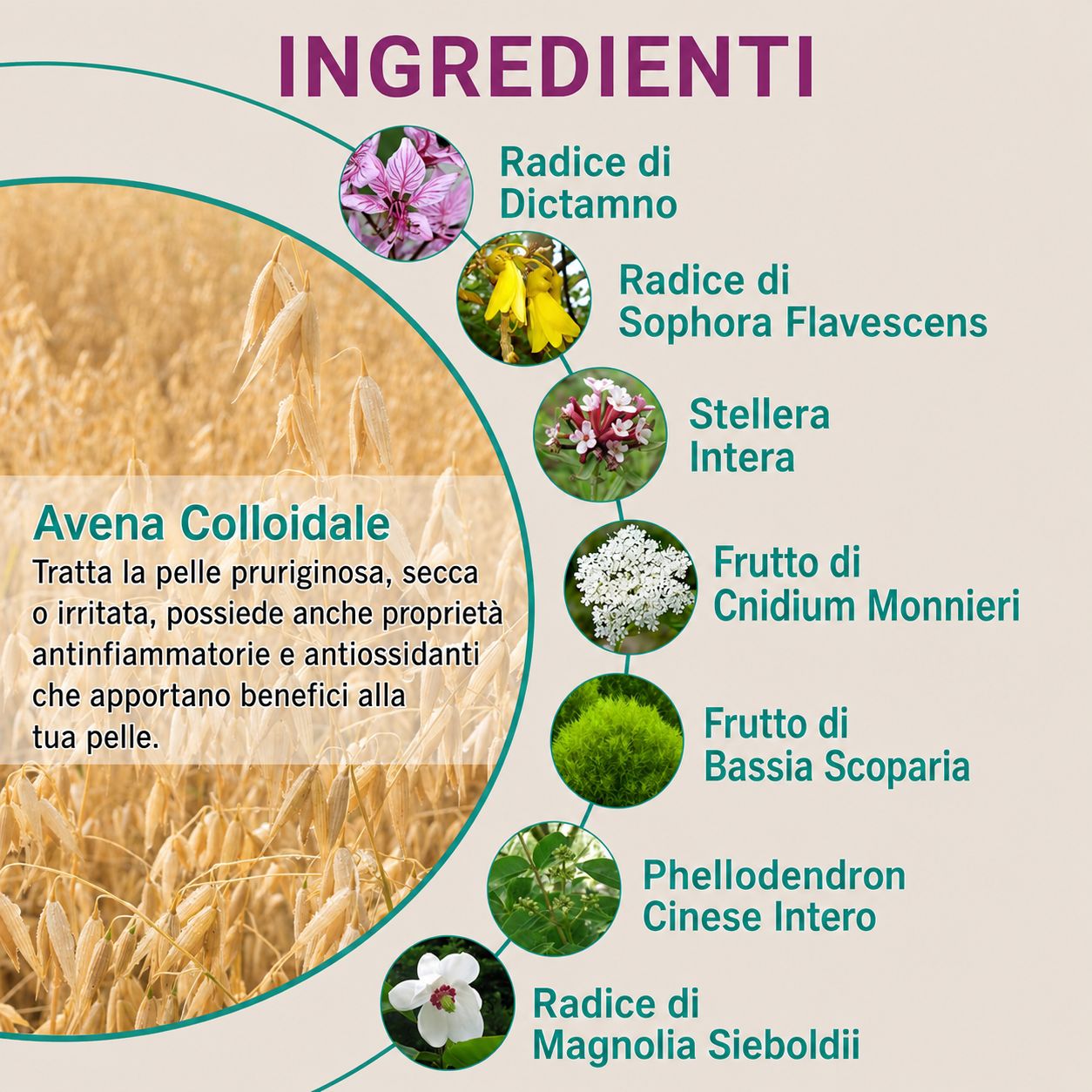 LMNOOP crema anti-prurito formula intensa