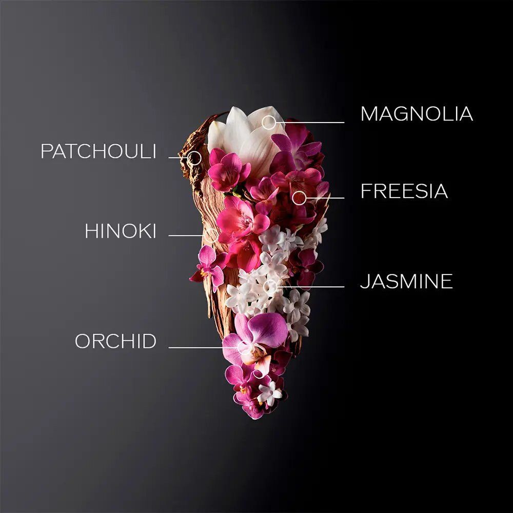 Composizione floreale con etichette: Magnolia, Fresia, Gelsomino, Orchidea, Hinoki, Patchouli.
