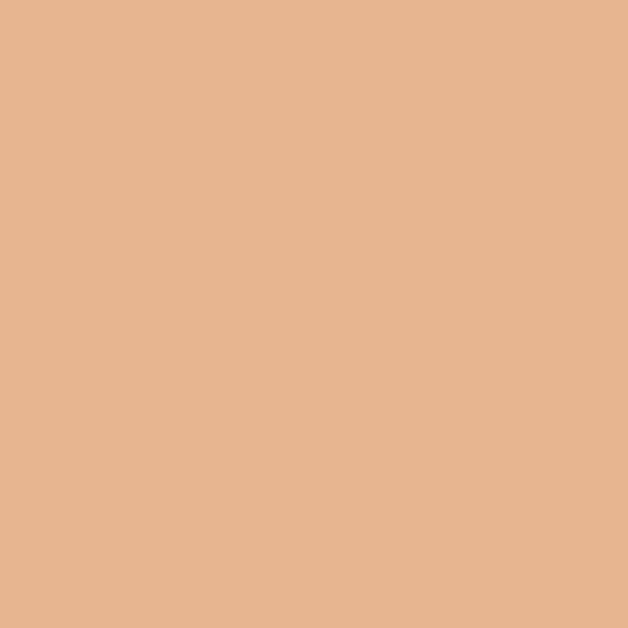 Sfondo beige unito.