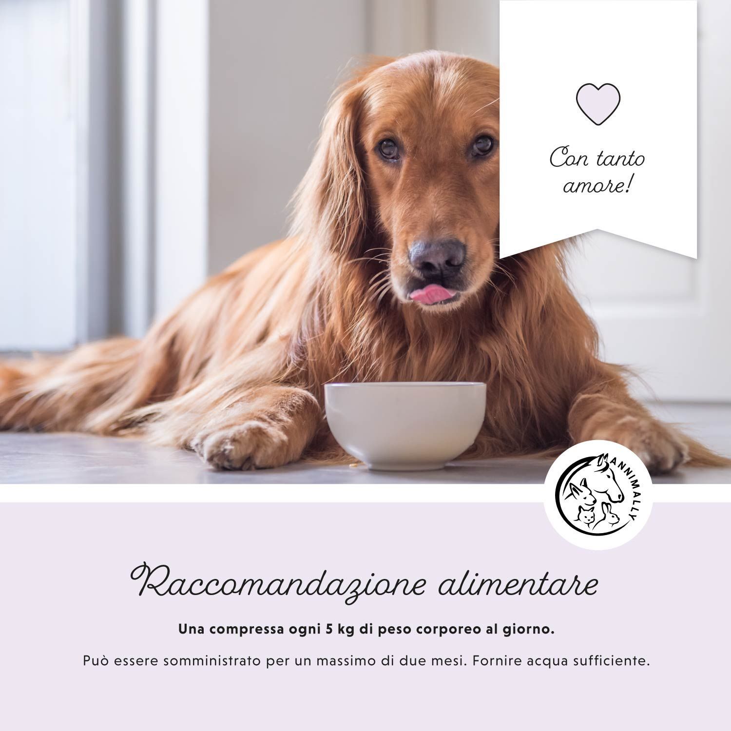 Cane con ciotola. Testo: Raccomandazioni alimentari. Una compressa ogni 5 kg di peso corporeo al giorno. Può essere somministrato fino a due mesi.
