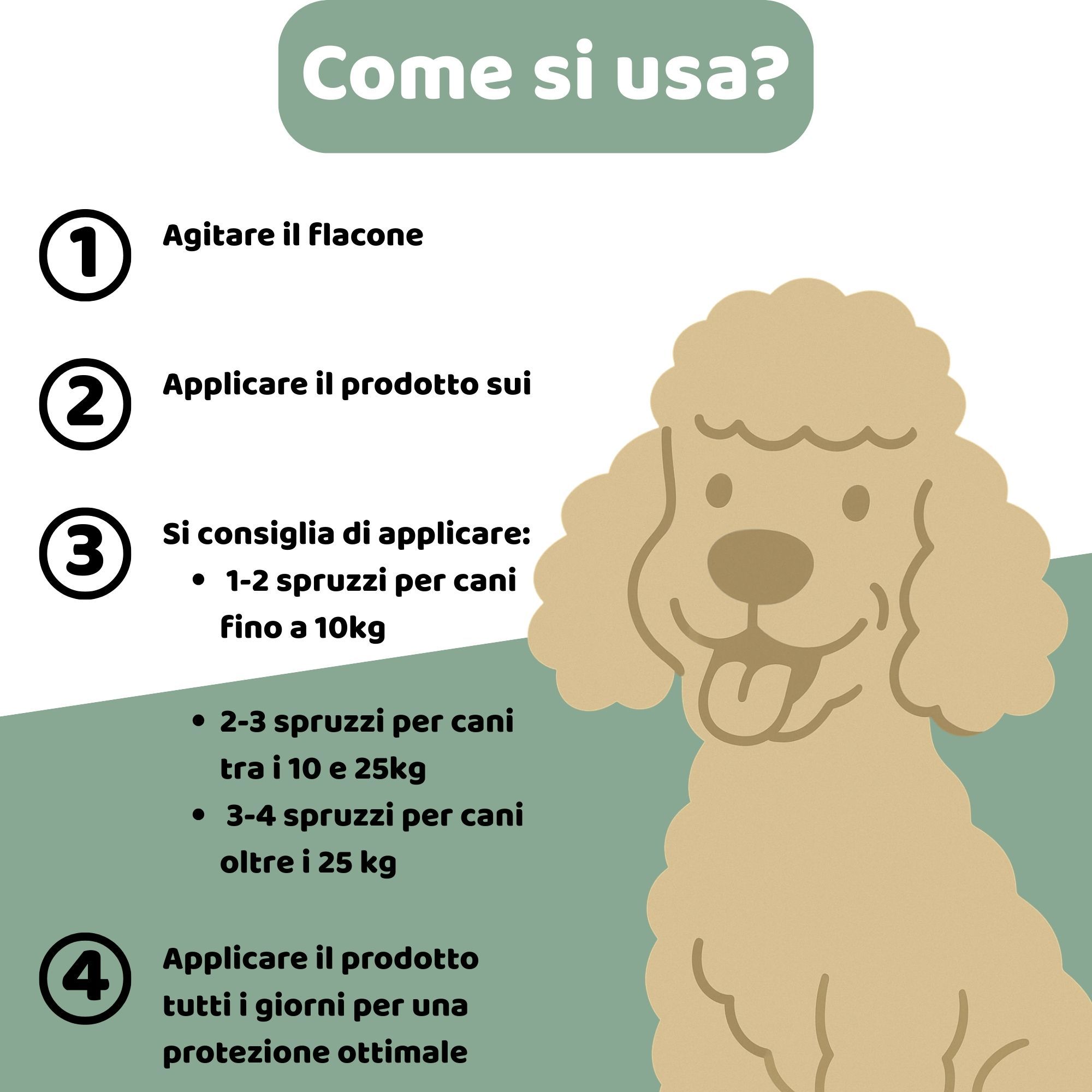 Illustrazione: cane. Testo: Come si usa. Istruzioni in passaggi numerati.