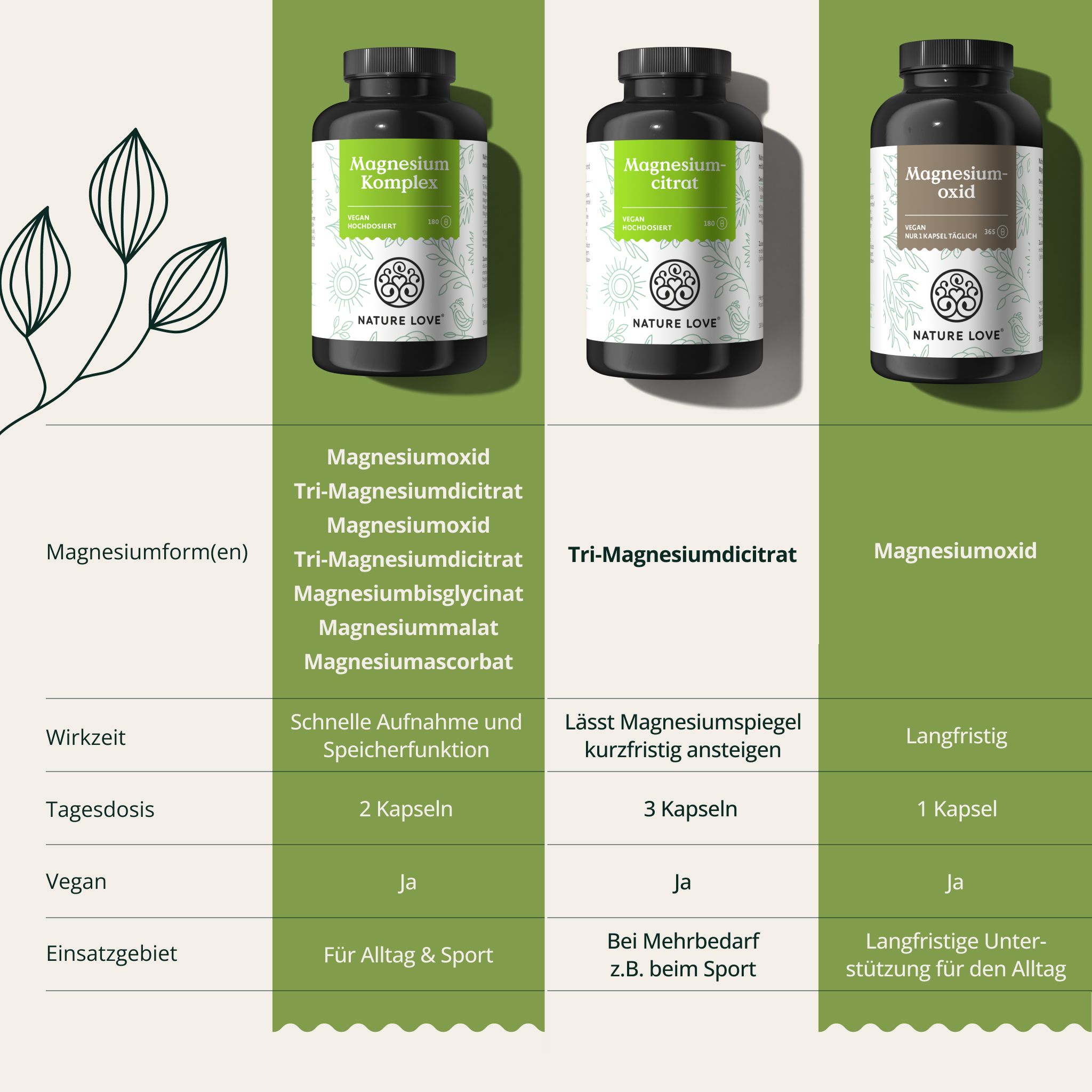 Tabella comparativa delle diverse forme di magnesio. Testo: Forma/e di magnesio, tempo di azione, dose giornaliera, vegano, campo di applicazione. NATURE LOVE® Magnesium.