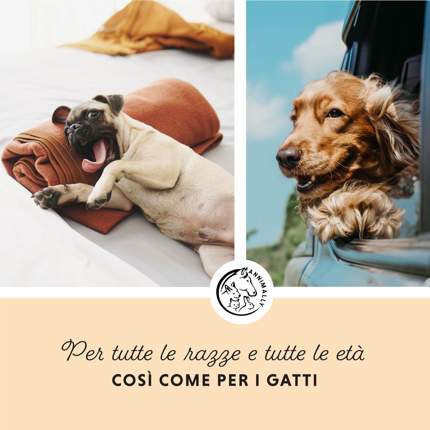 Collage con cane e gatto. Testo: Per tutte le razze e tutte le età così come per i gatti.
