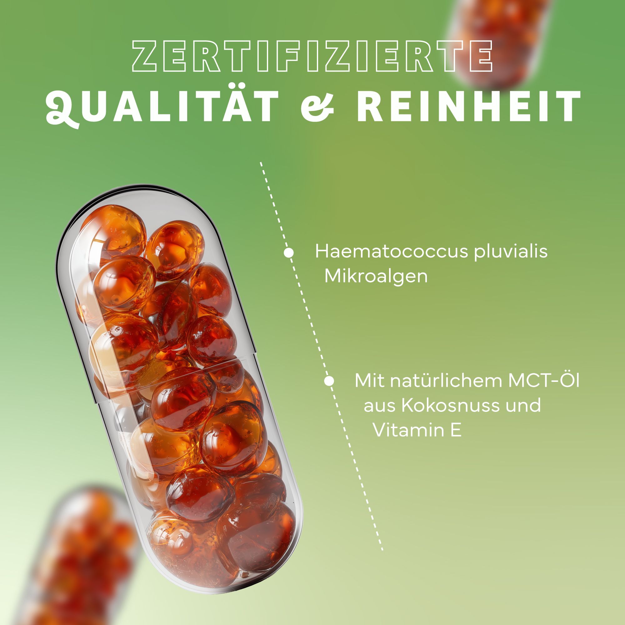 Capsula Echt Vital Astaxantina Vegan con microalghe, olio MCT e vitamina E.