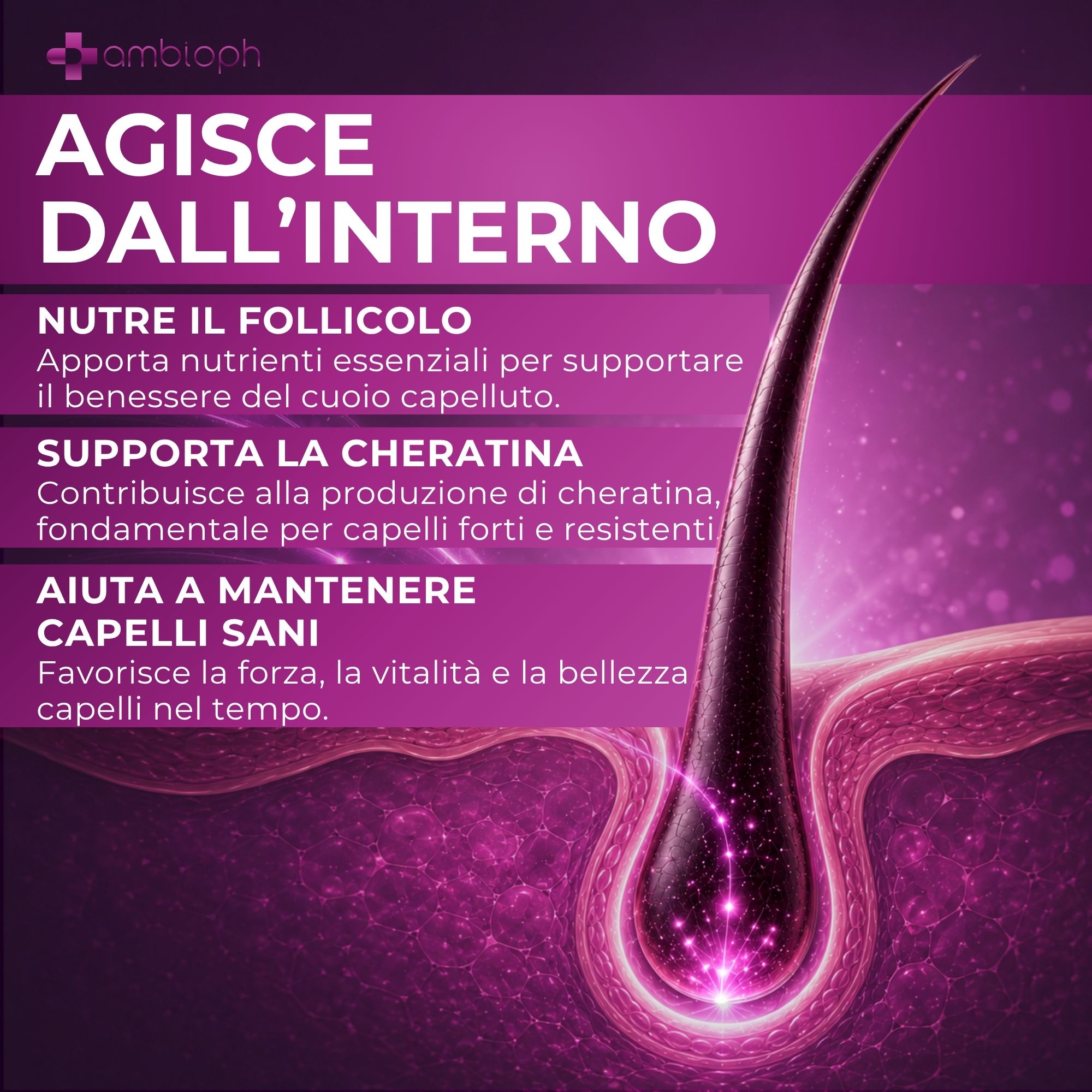 Grafica che mostra come il prodotto agisce dall'interno per nutrire il follicolo pilifero.
