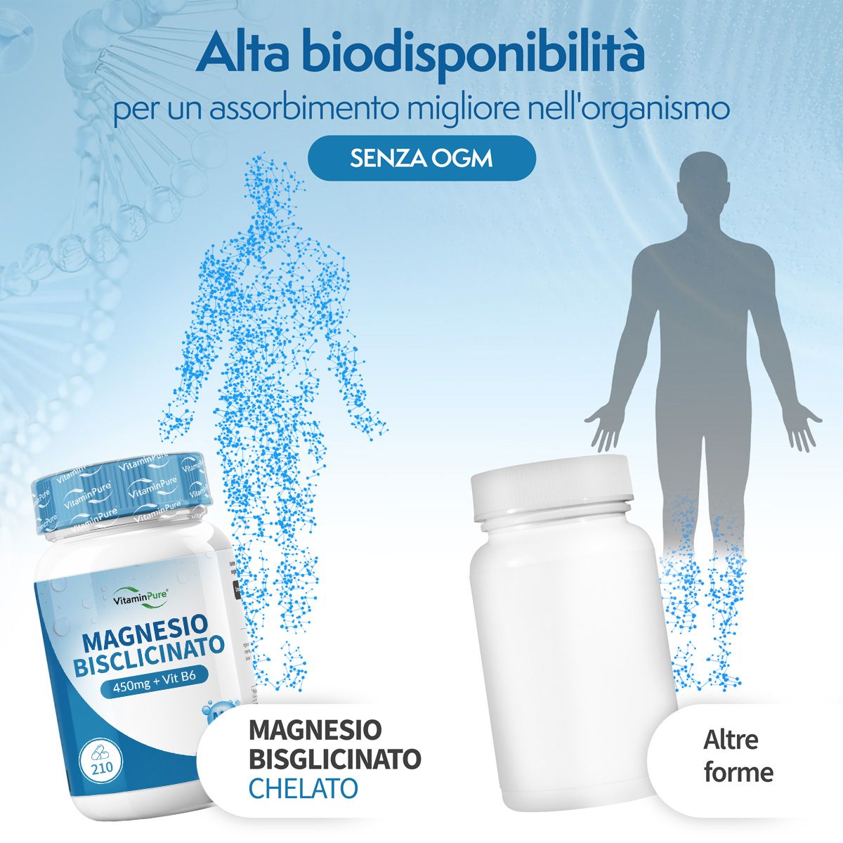 Due flaconi di integratori alimentari. Testo: MAGNESIO BISGLICINATO 450mg + Vit B6. 210 capsule. Senza OGM. Sagome umane.