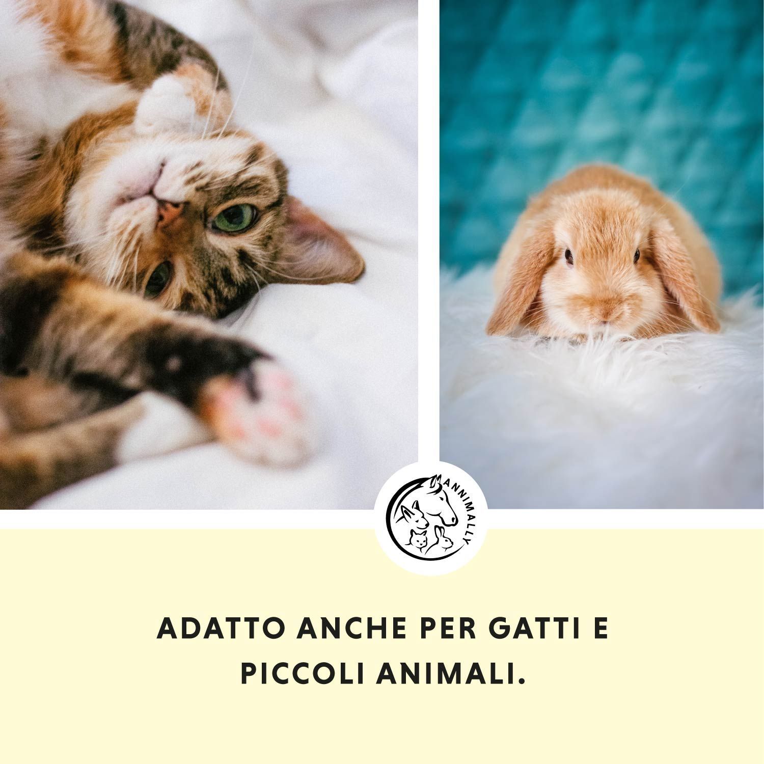 Gatto e coniglio. Testo: Adatto anche per gatti e piccoli animali. Logo: Annimally.