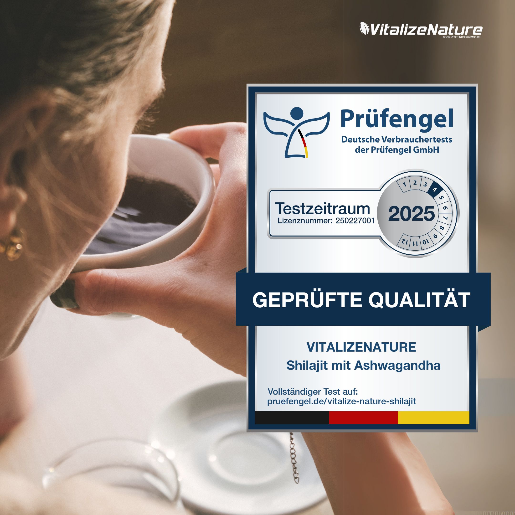 VitalizeNature Shilajit con Ashwagandha