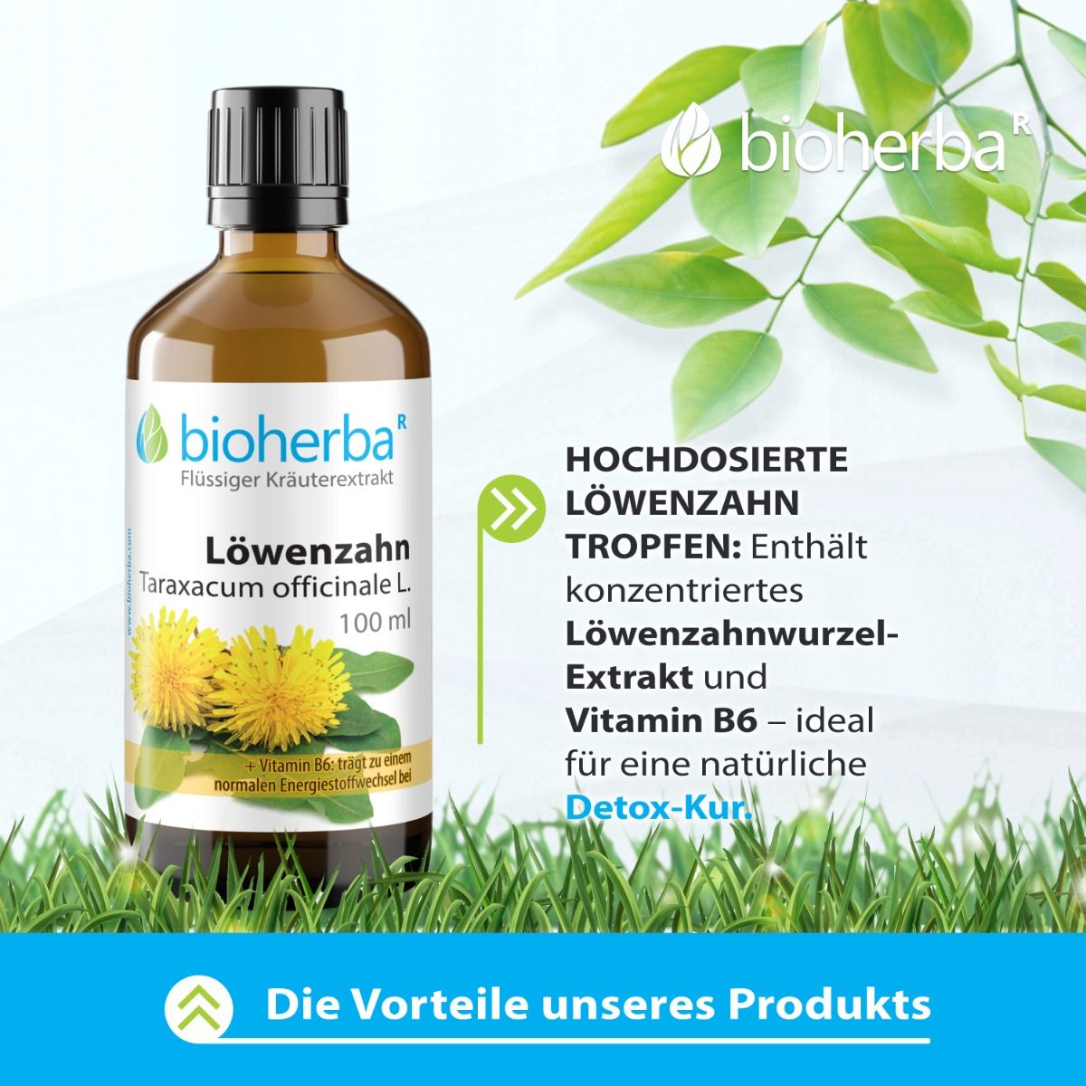 Flacone marrone con tappo nero. Bioherba Löwenzahn, Taraxacum officinale L. Gocce. 100 ml. Sull'erba.