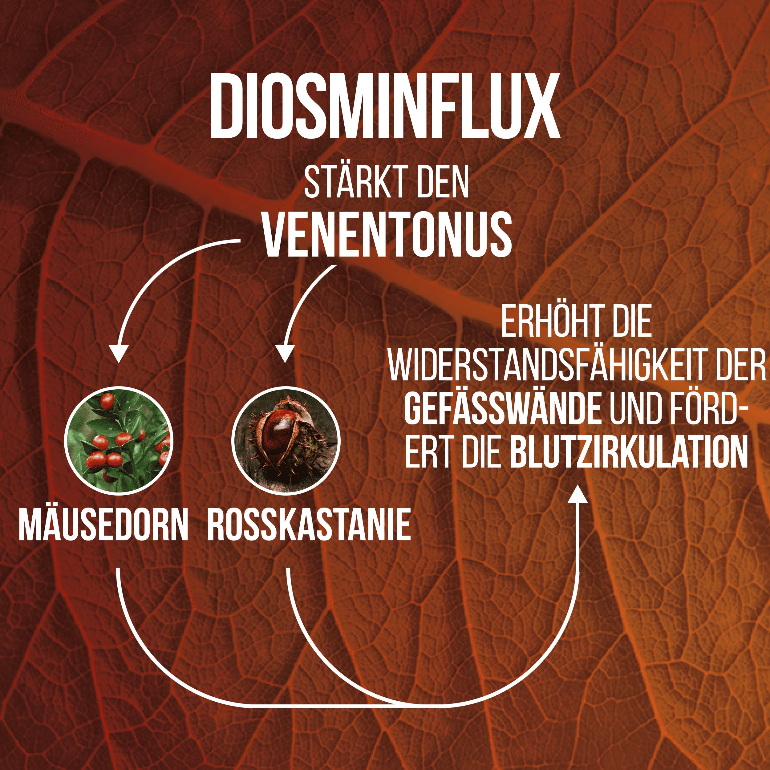 Testo su sfondo marrone. Diosminflux. Rafforza il tono venoso. Rusco, Ippocastano. Aumenta la resistenza delle pareti dei vasi.