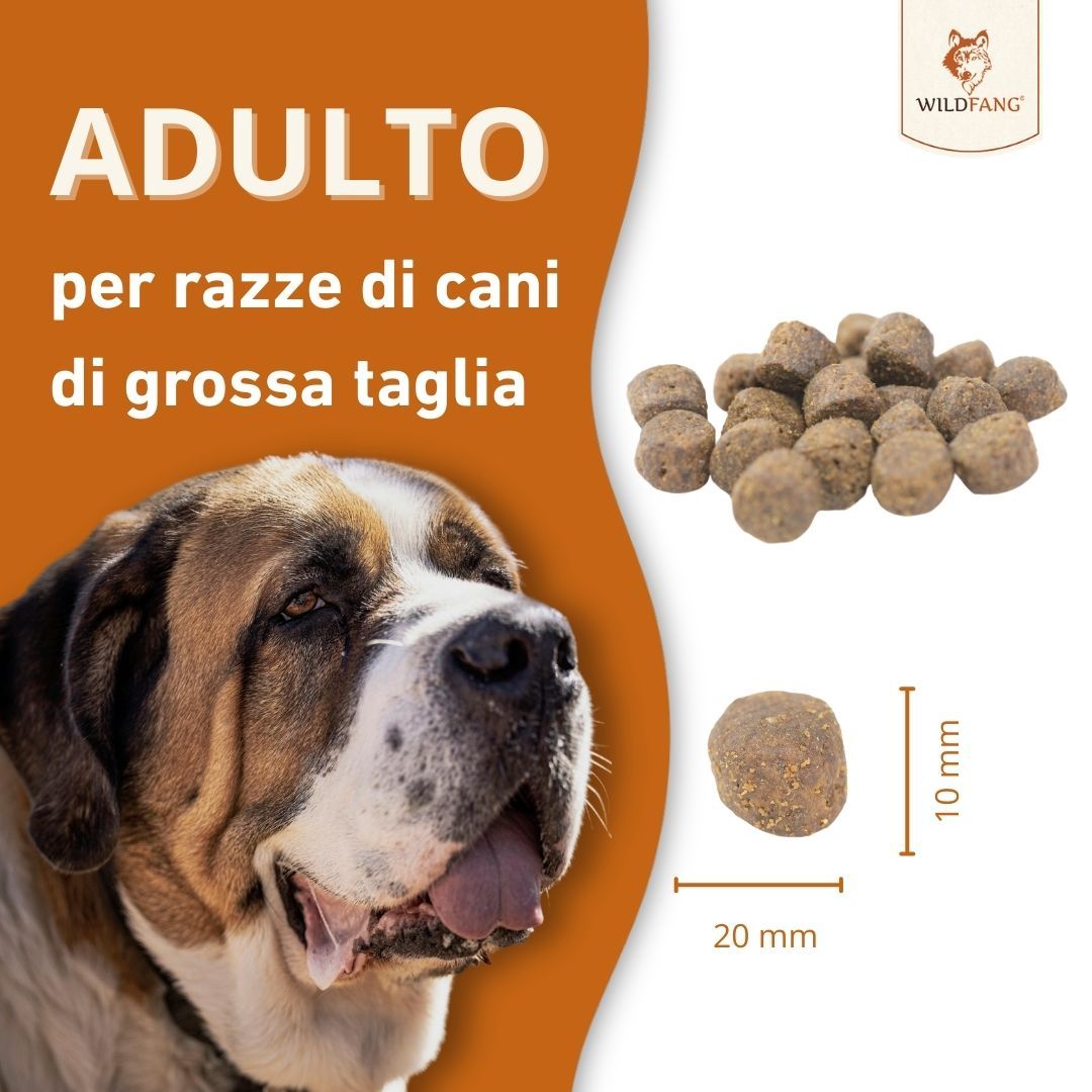 Cibo per cani. Testo: Adulto, per razze di cani di grossa taglia. Crocchette, 20x10 mm.