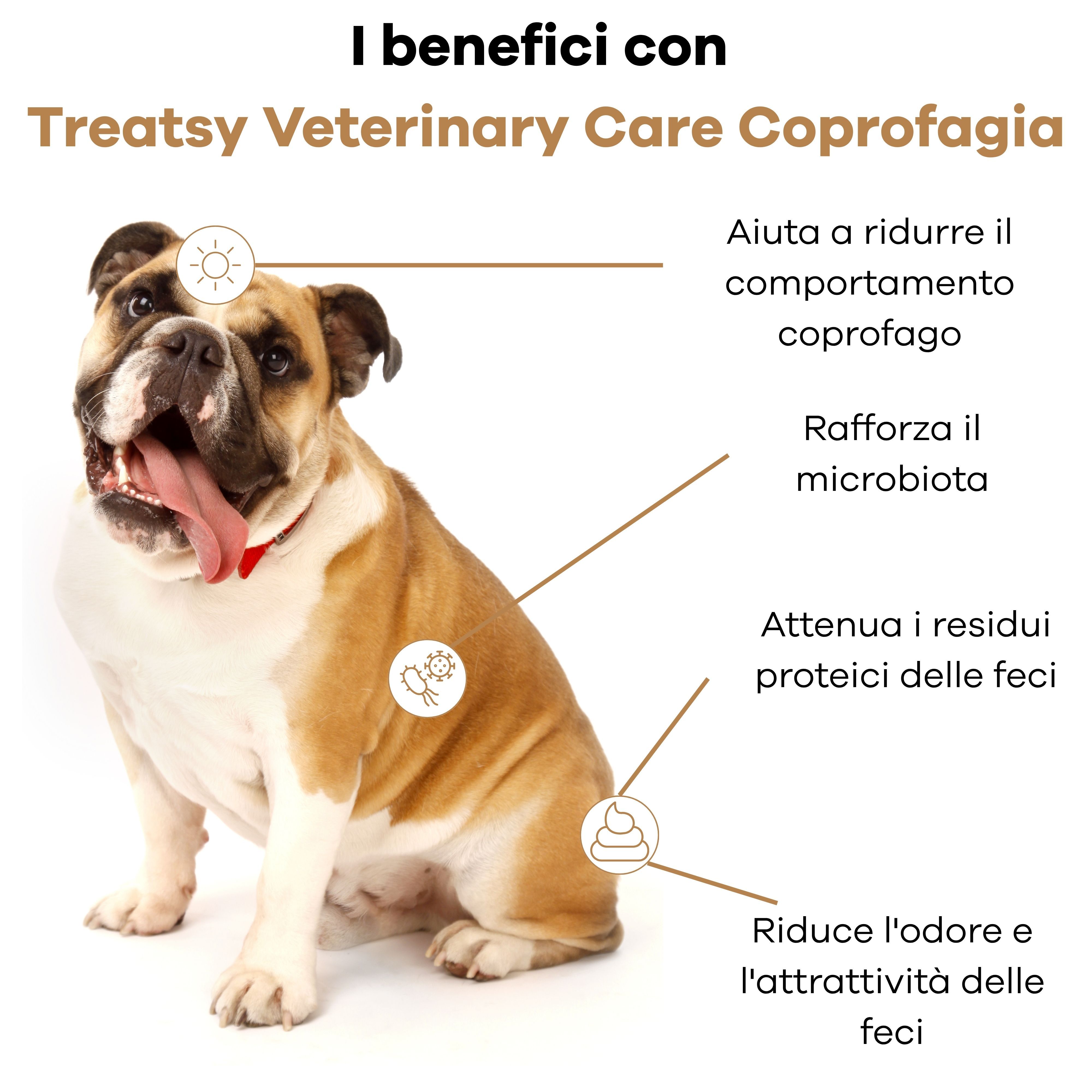 Busta con compresse marroni. Scritta: Coprophagia, Treatsy. Raccomandato dai veterinari.