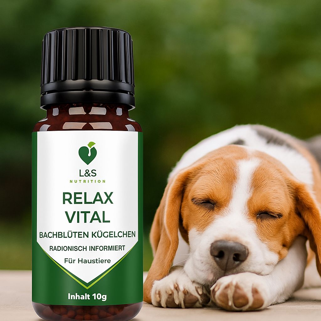 Flacone di vetro marrone con tappo nero. Etichetta con logo e nome del prodotto. Cane accanto.