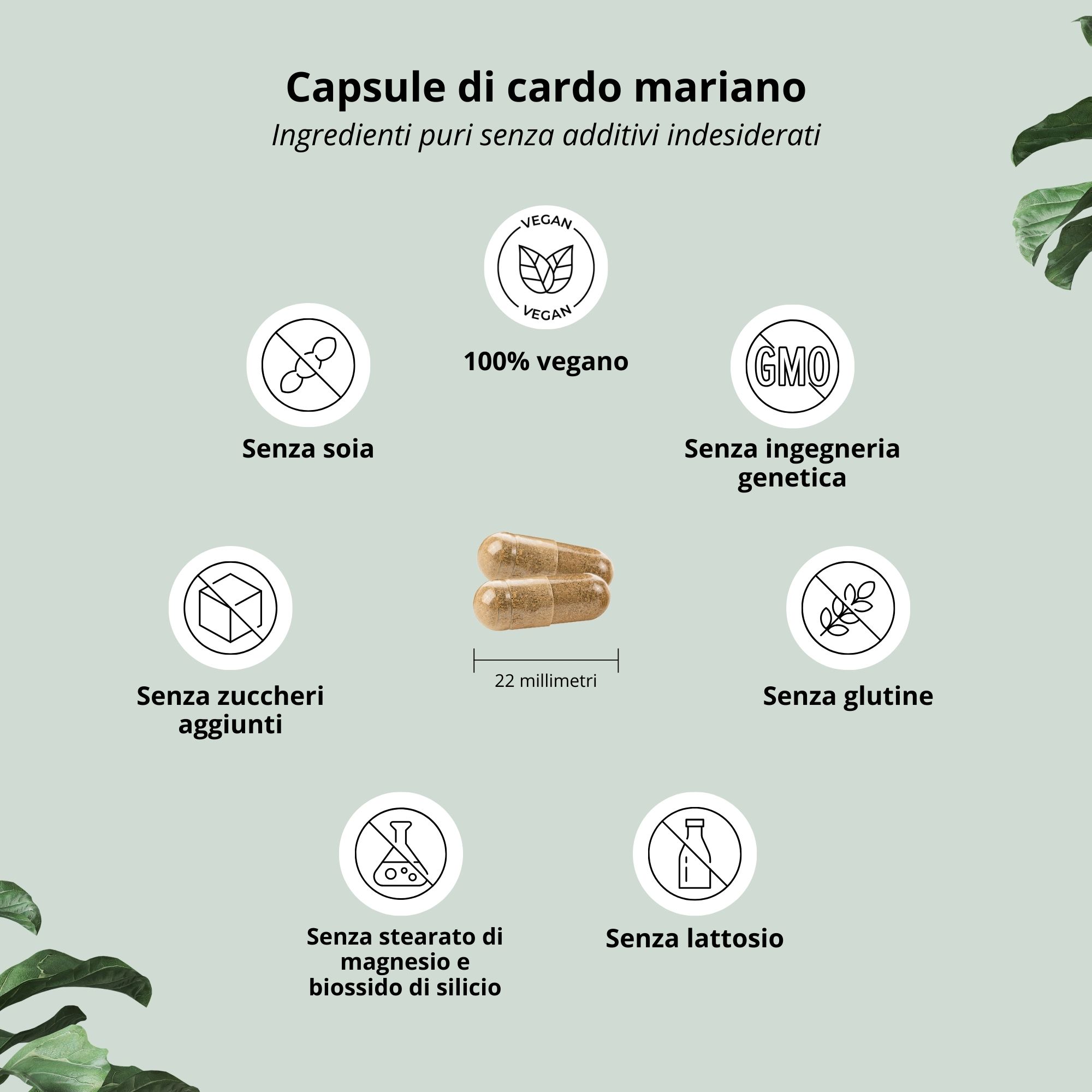Due capsule. Testo: Mariendistel Kapseln. Sigilli: vegano, senza OGM, senza zuccheri aggiunti, senza glutine.