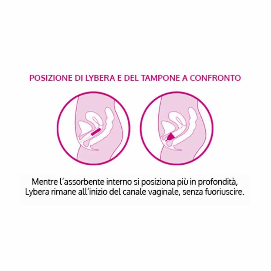 Due diagrammi mostrano la posizione di Lybera e del tampone. Testo: Posizione di Lybera e del tampone a confronto.