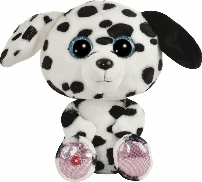 Dalmata Dottino di Glubschi, 25 cm circa