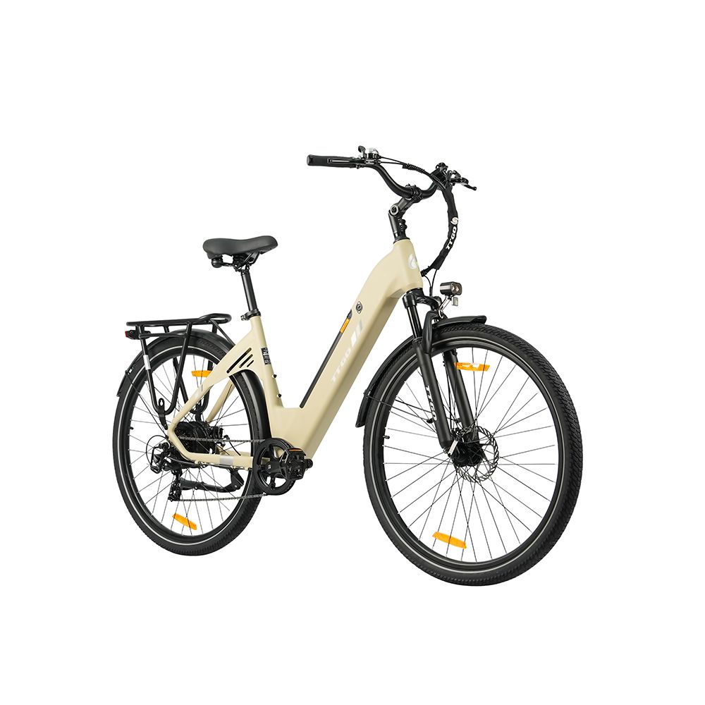 Bicicletta elettrica beige con pneumatici neri, portapacchi e parafanghi. Sella e manubrio neri. Illuminazione.