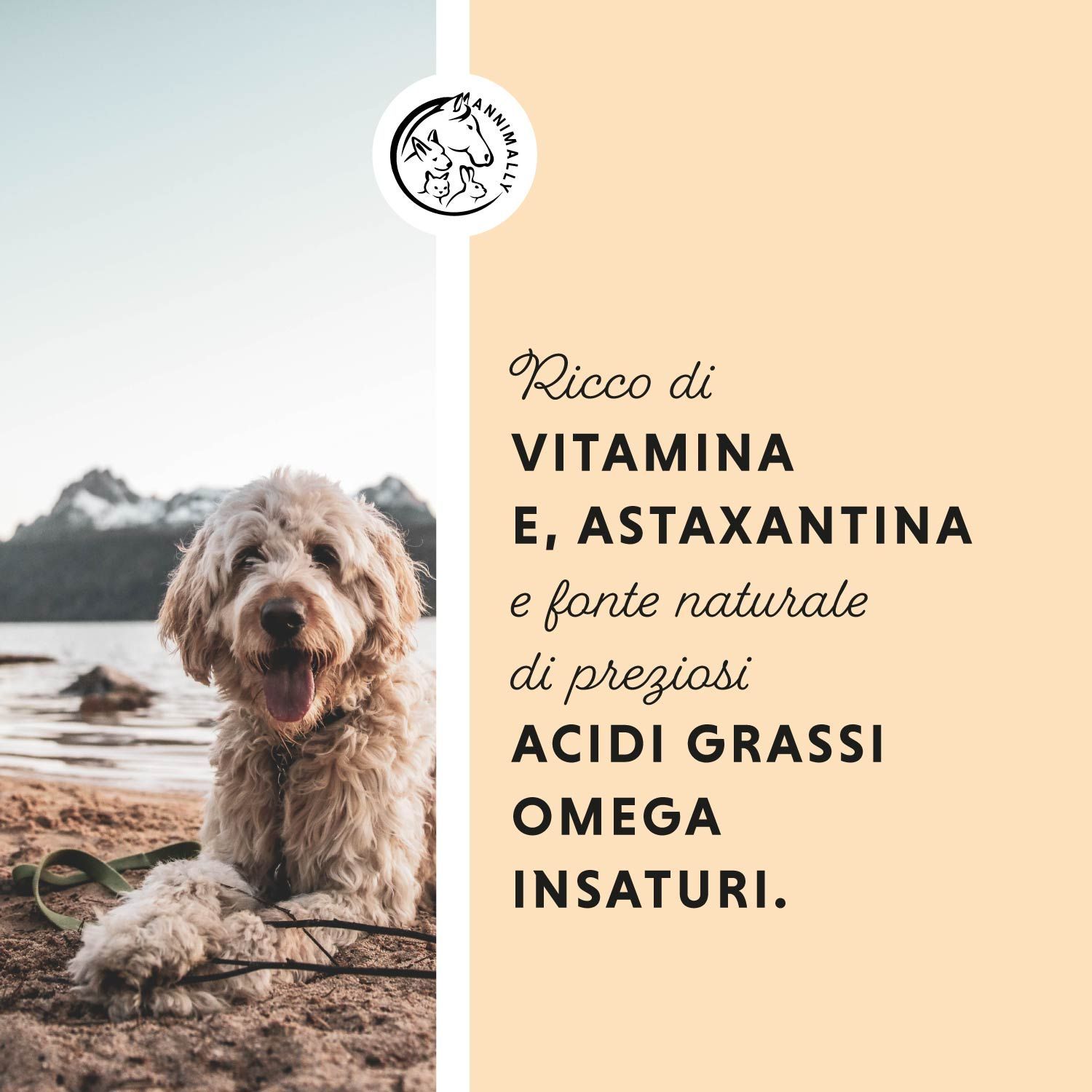 Cane sulla spiaggia. Testo: Ricco di vitamina E, astaxantina e fonte naturale di acidi grassi omega insaturi.