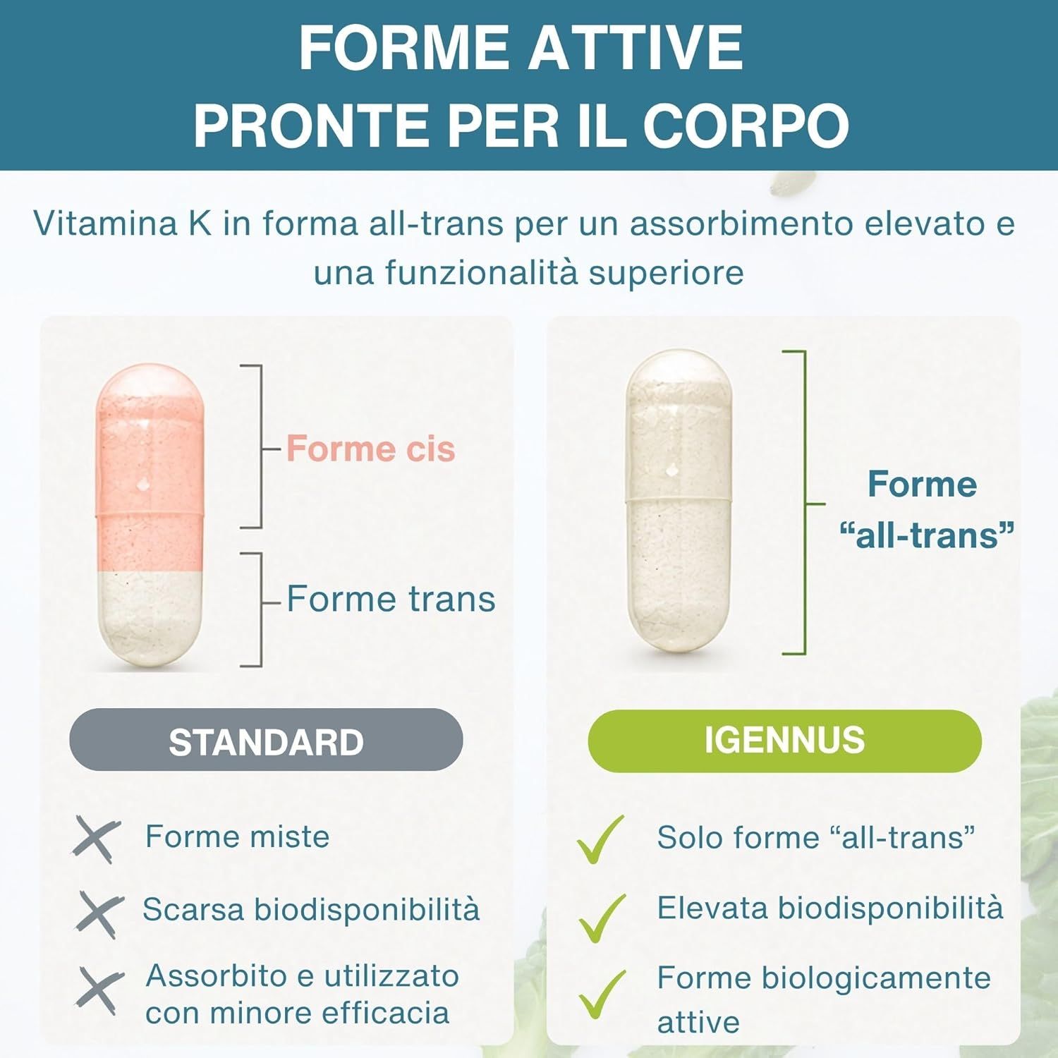 Confronto tra capsule standard di Vitamina K e capsule 'all-trans' Igennus.
