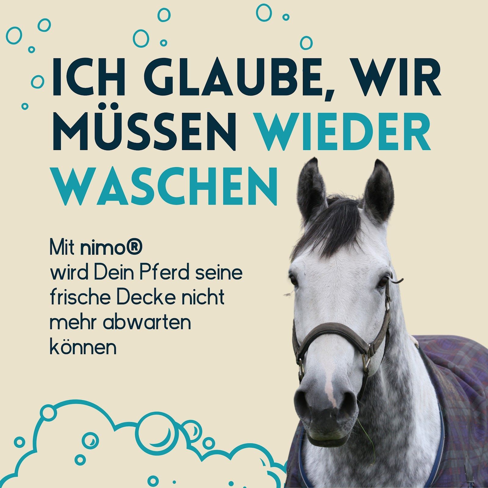 Cavallo con coperta. Testo: « Penso che dobbiamo lavare di nuovo ». Testo: « Con nimo, il tuo cavallo non vedrà l'ora di avere la sua coperta fresca ».