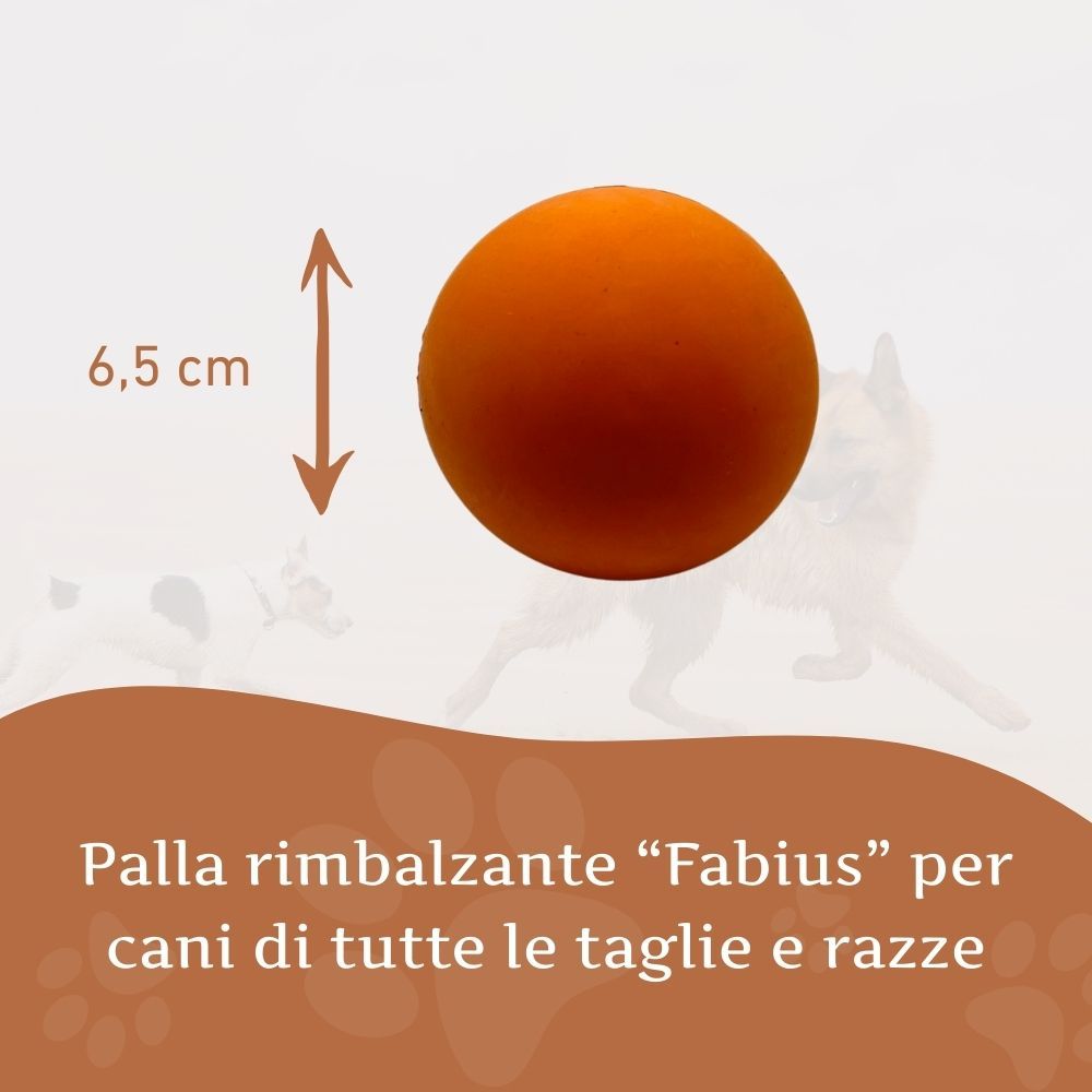 Palla arancione con freccia e testo: 6,5 cm. Testo: Palla rimbalzante "Fabius" per cani di tutte le taglie e razze.