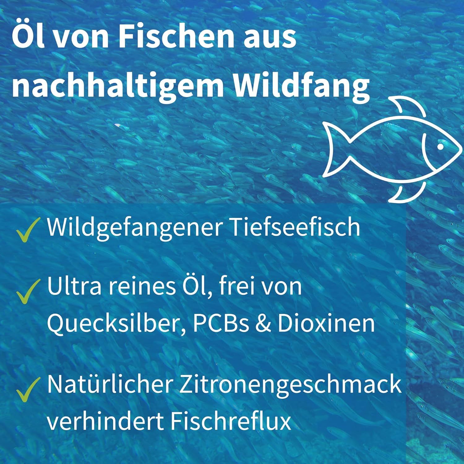 Pesci in acqua. Testo: Olio di pesce selvatico sostenibile. Olio ultra puro, senza mercurio, PCB e diossine.