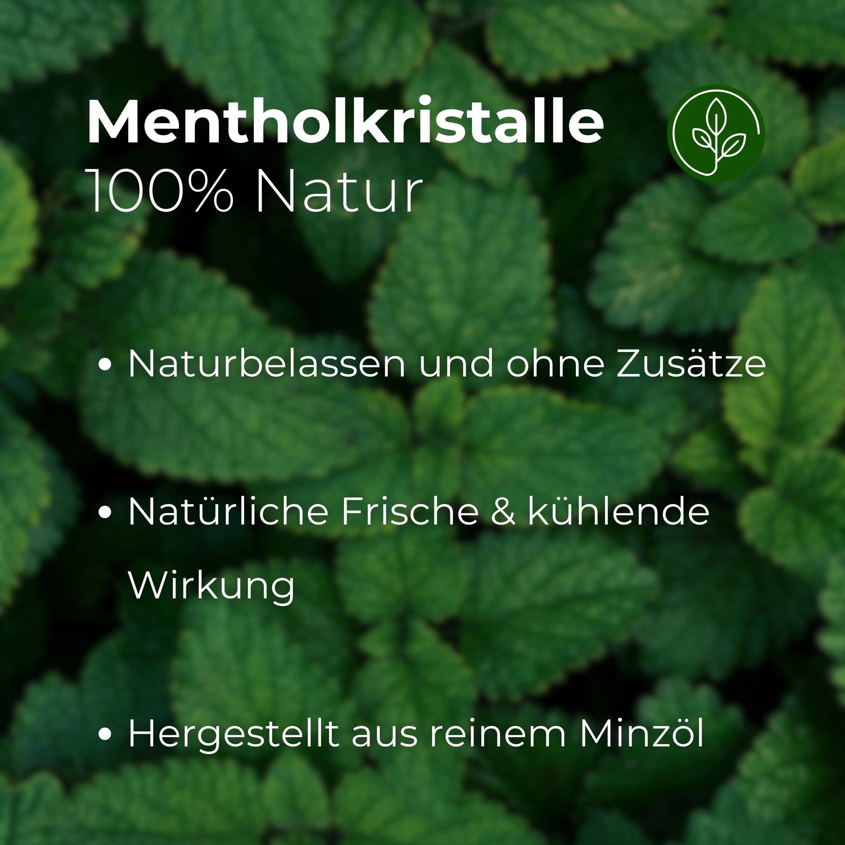 Primo piano di foglie verdi. Testo: Mentholkristalle, 100% naturale. Naturale e senza additivi. Freschezza naturale ed effetto rinfrescante.