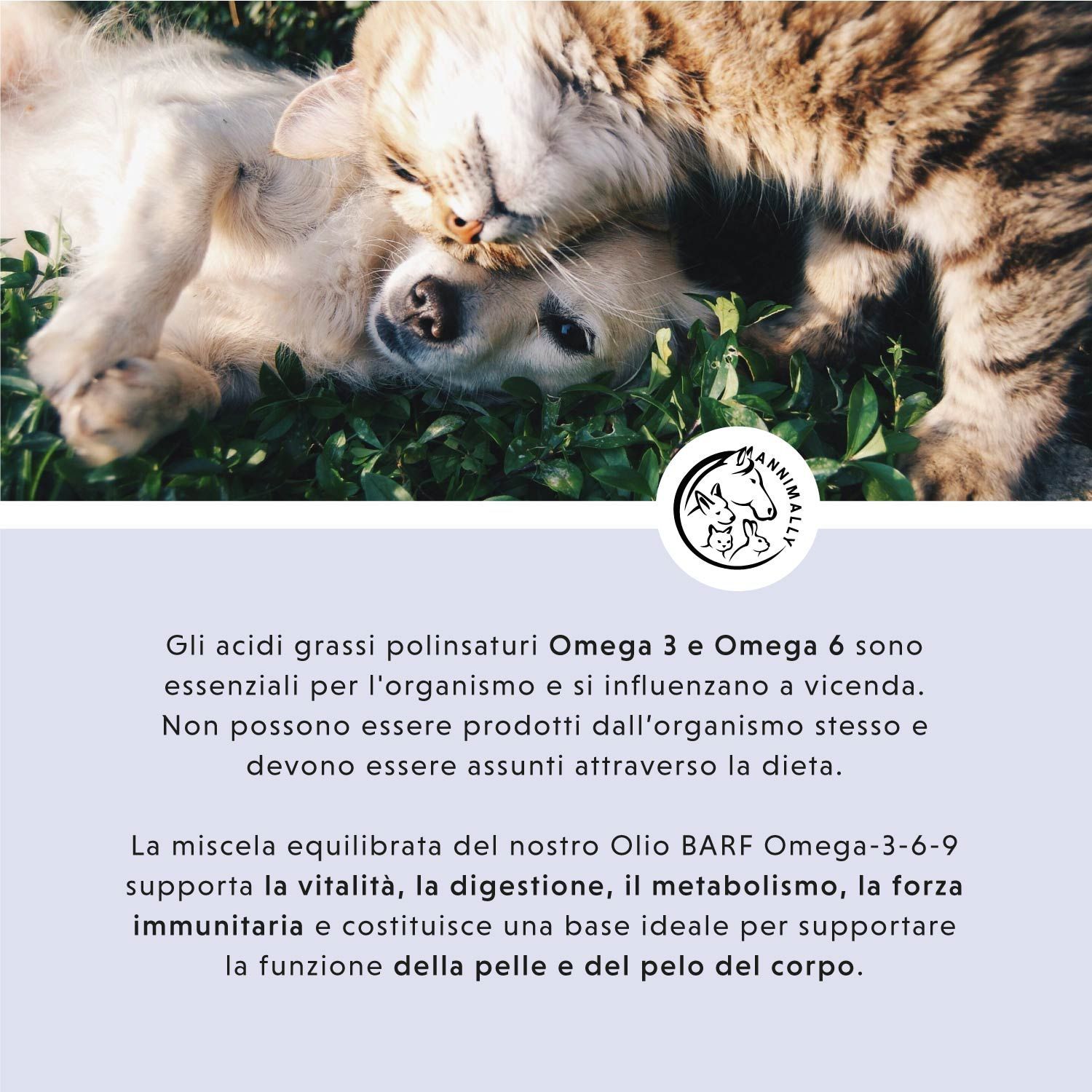 Cane e gatto. Testo sugli acidi grassi Omega-3 e Omega-6. Logo con cane, gatto e coniglio.