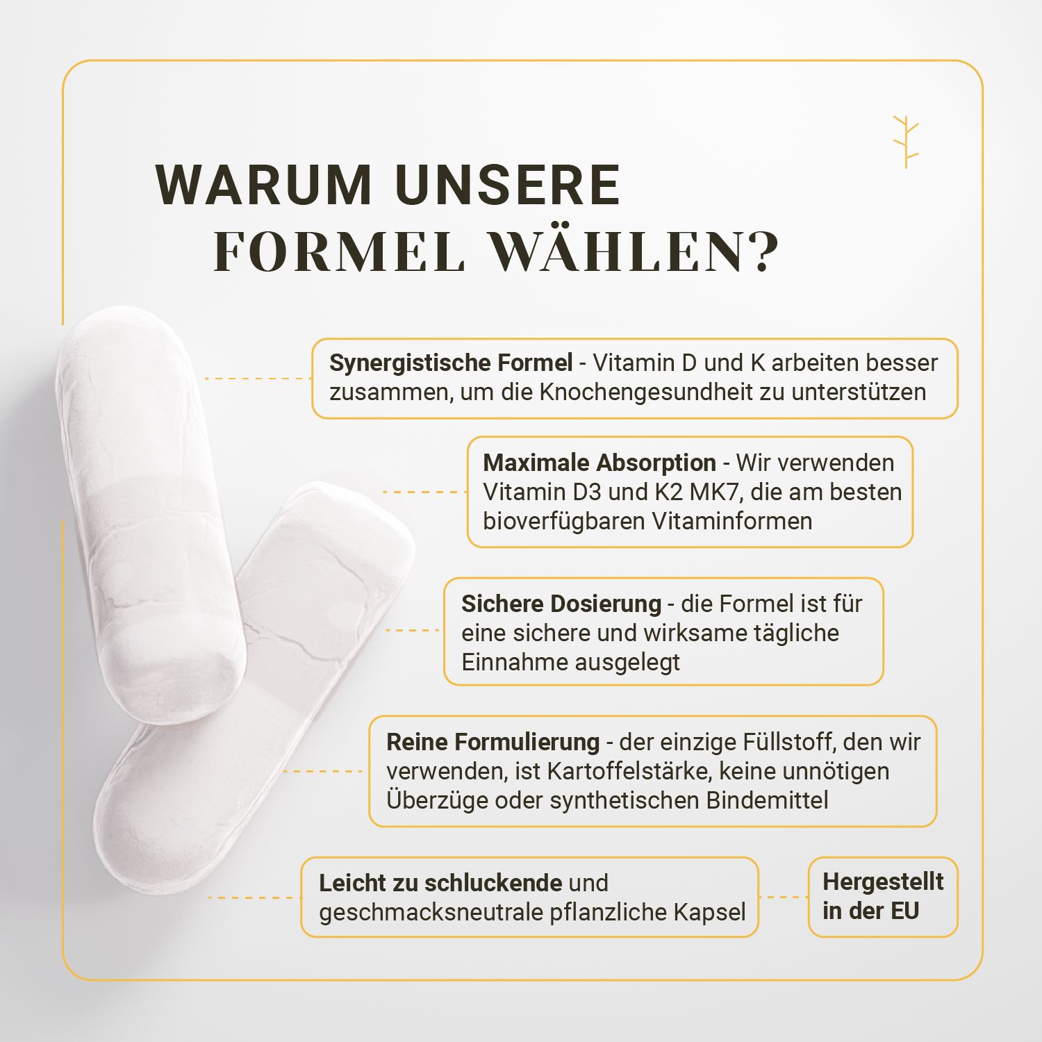 Due capsule bianche su sfondo bianco. Testo: Perché scegliere la nostra formula? Formula sinergica, massimo assorbimento, dosaggio sicuro.