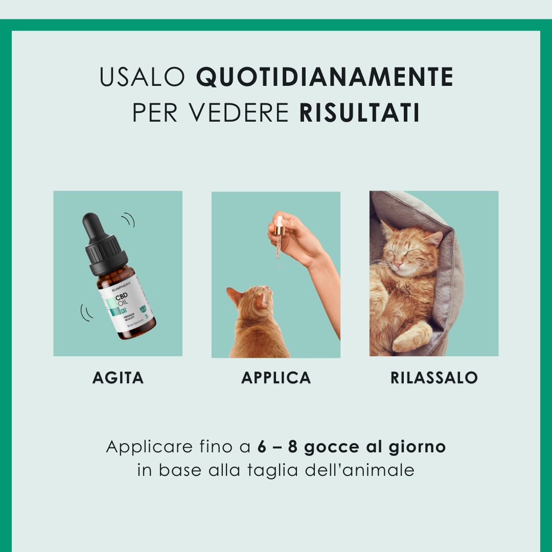 Gatto con giacca. Testo: Contribuisce al benessere generale del tuo gatto.