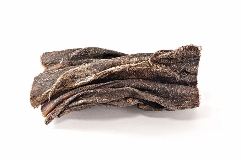 Un pezzo di trippa di manzo, marrone scuro, su sfondo bianco.