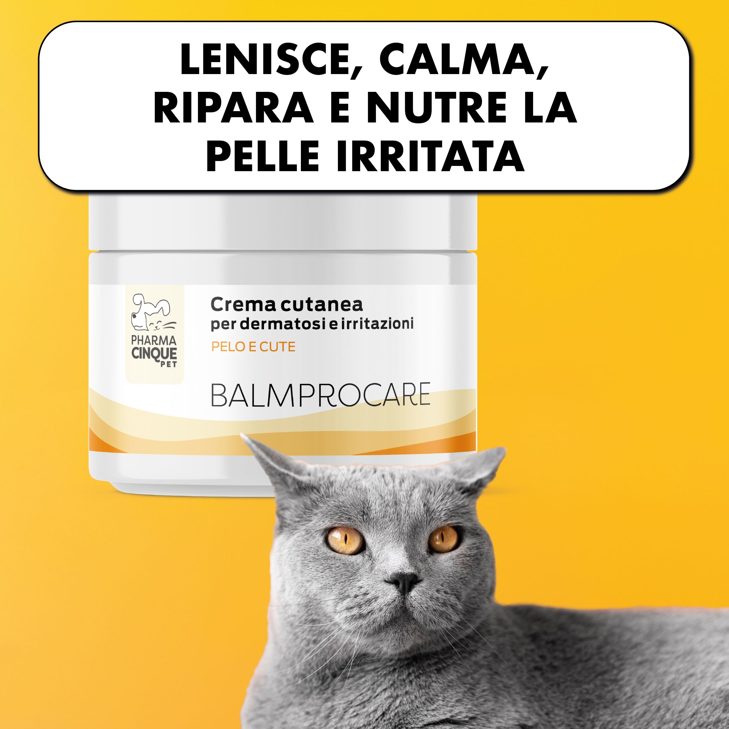 Vaso di crema BALMPROCARE, sfondo giallo, gatto. Testo: Crema cutanea per dermatosie irritazioni, Pelo e Cute. Testo: Lenisce, calma, ripara e nutre la pelle irritata.