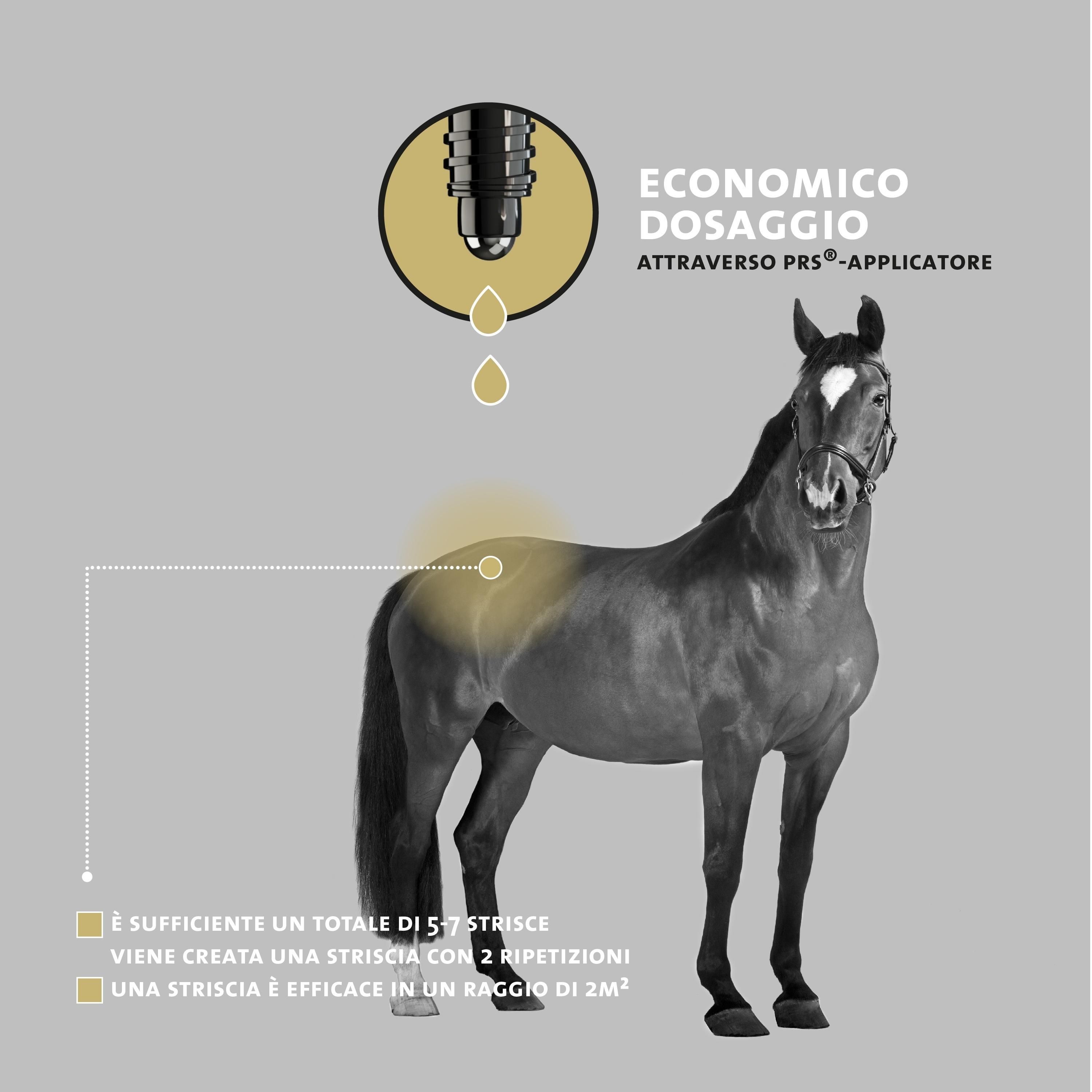 Cavallo con aree evidenziate in giallo. Testo: Dosaggio economico tramite applicatore PRS®. 5-7 strisce sono sufficienti. Una striscia agisce su 2 m².