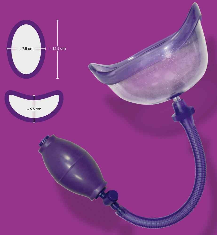 Cattiva gattina succhia vagina