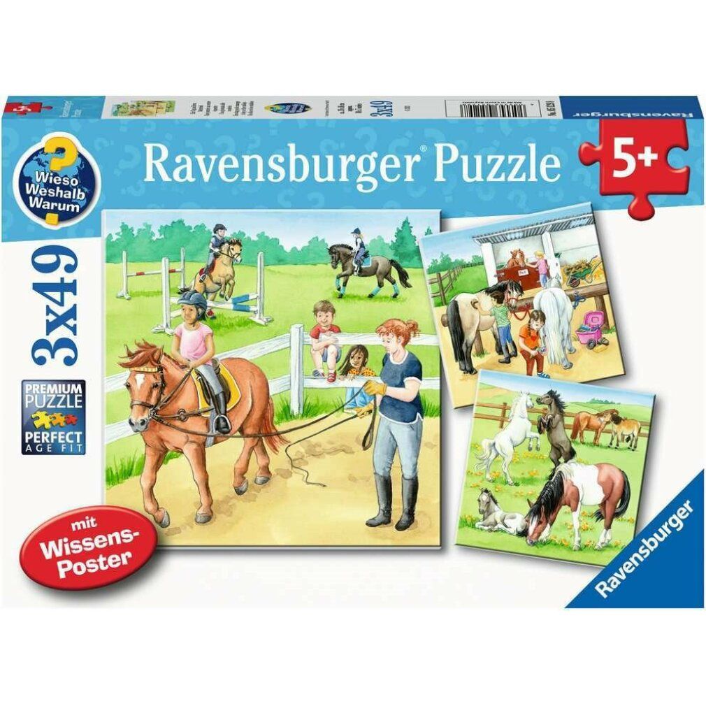 Scatola di puzzle con tre puzzle. Motivi: scene di maneggio. Scritta: Ravensburger Puzzle, 3x49 pezzi, 5+.