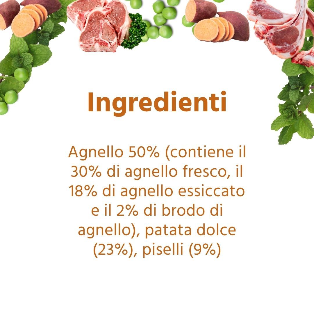 Testo con ingredienti: agnello, patate dolci, piselli. Contiene 50% agnello, 23% patate dolci, 9% piselli.