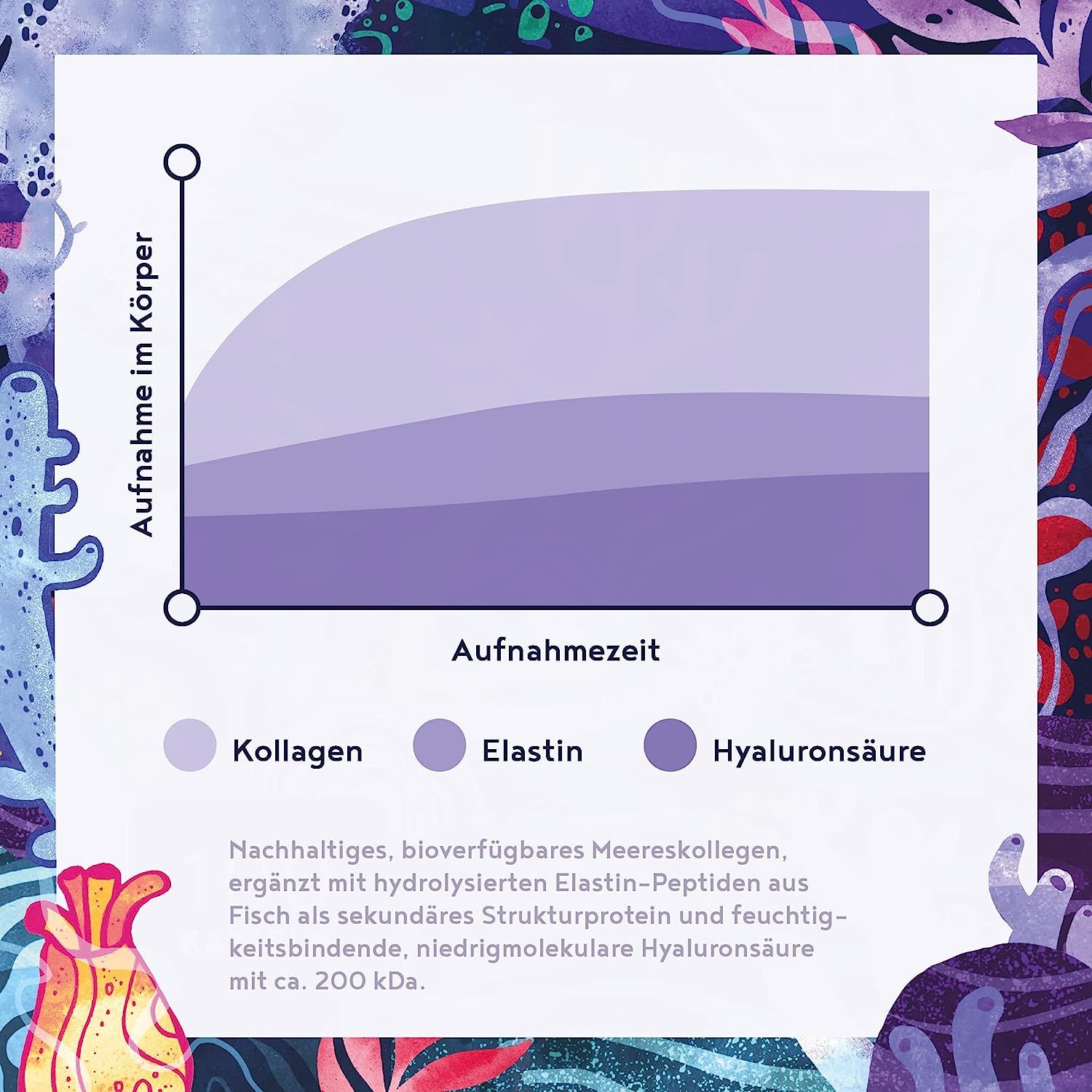 Grafico che mostra l'assorbimento di collagene, elastina e acido ialuronico nel corpo nel tempo. Didascalia: Assorbimento nel corpo, tempo di assorbimento.