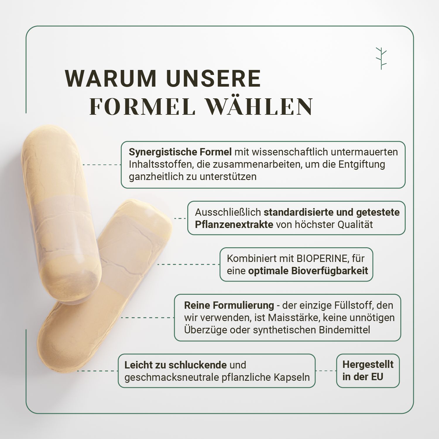 Due capsule beige. Scritta: Prodotto nell'UE. Testo: Perché scegliere la nostra formula. Capsule vegetali.