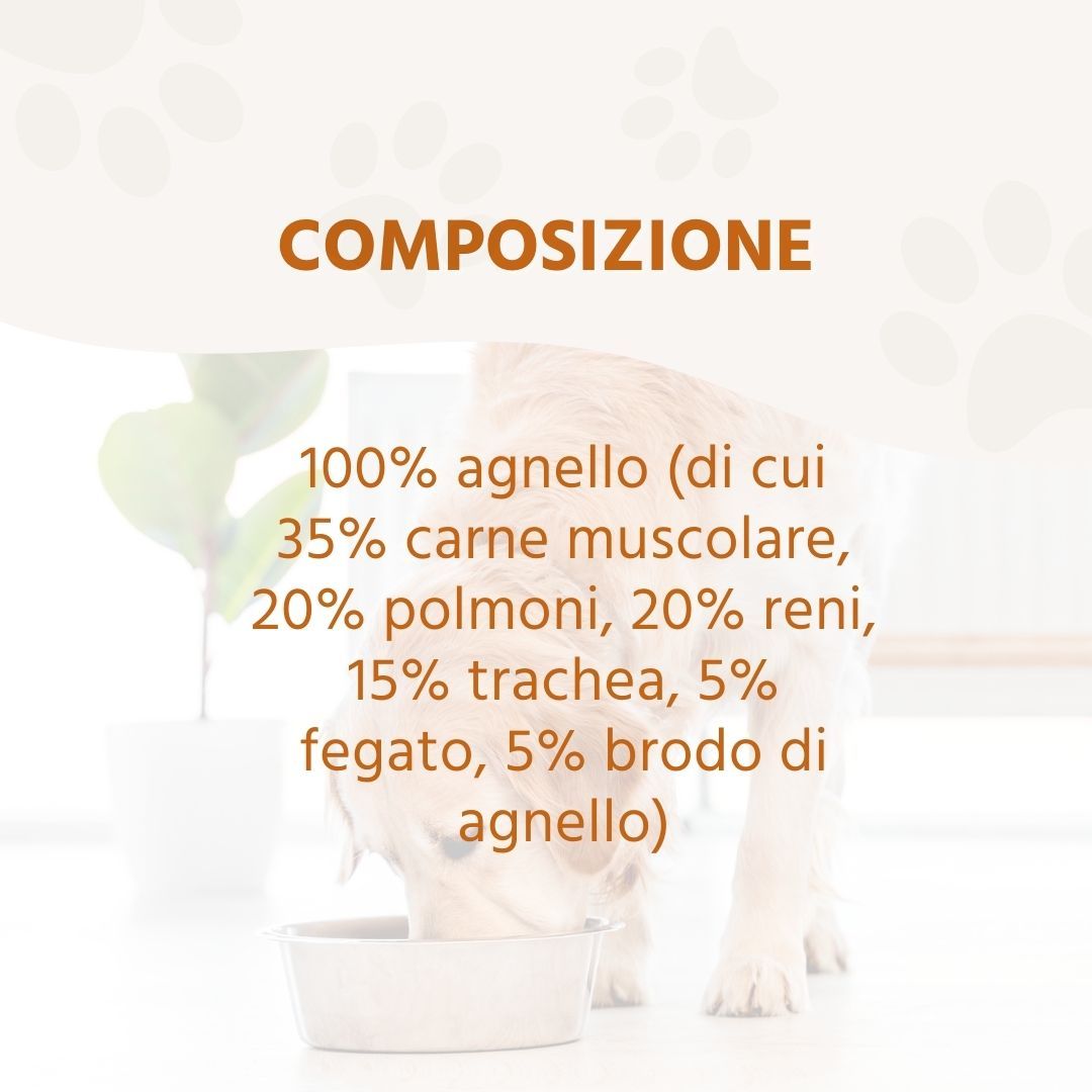 Wildfang - Junior Gourmet Box - Cibo secco e umido