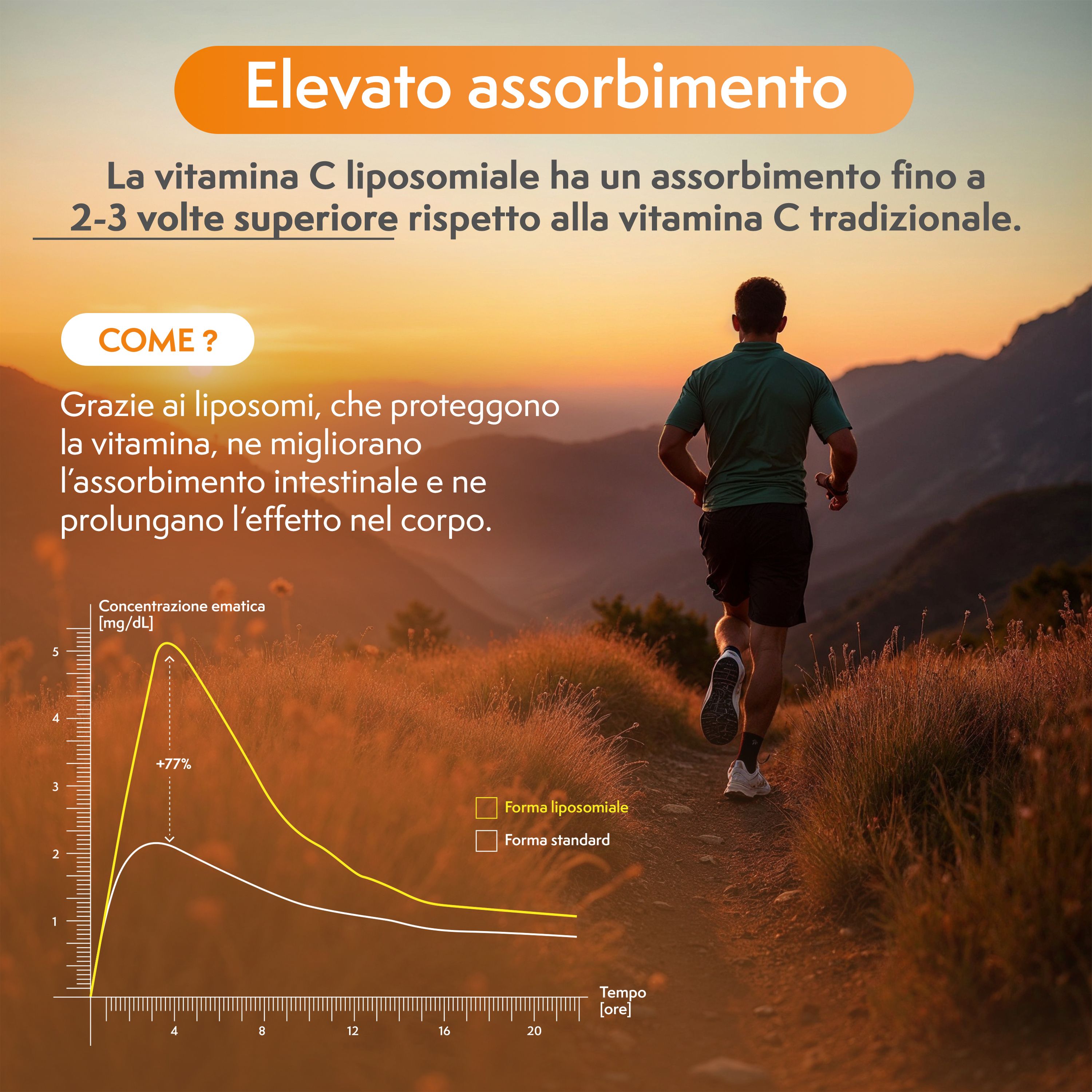 Uomo che corre su un sentiero. Grafico che mostra un migliore assorbimento della vitamina C liposomiale rispetto alla vitamina C standard.