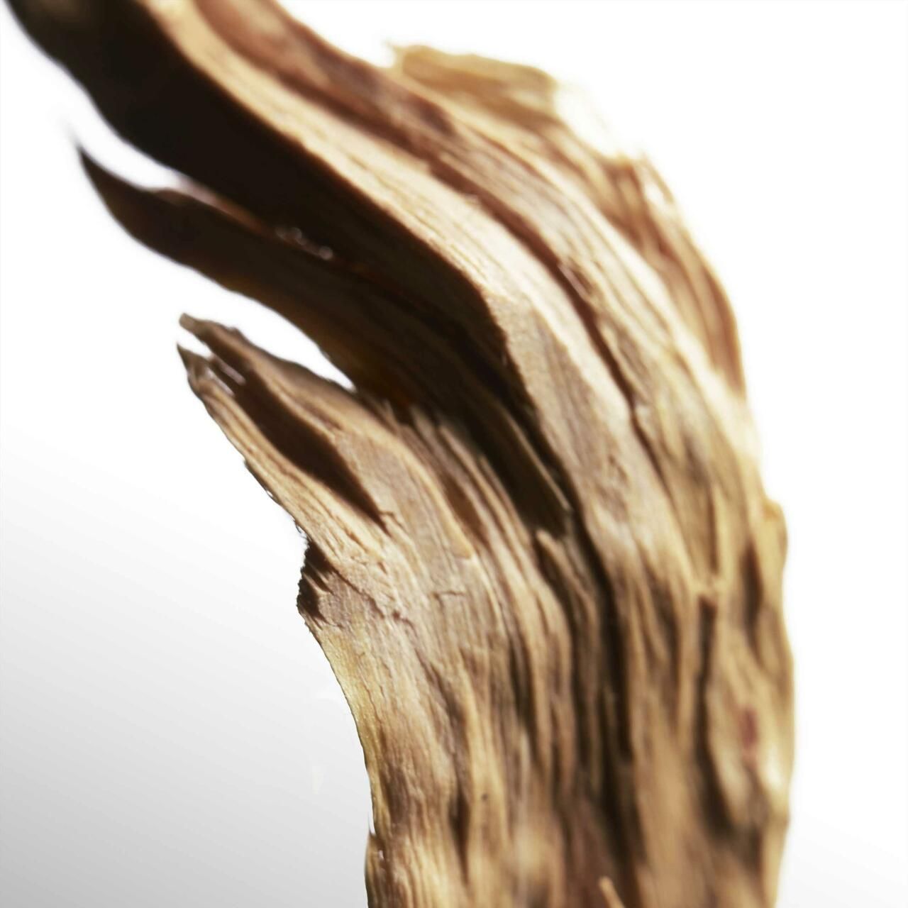 Primo piano del legno. Colore marrone, consistenza ruvida. Aspetto naturale.