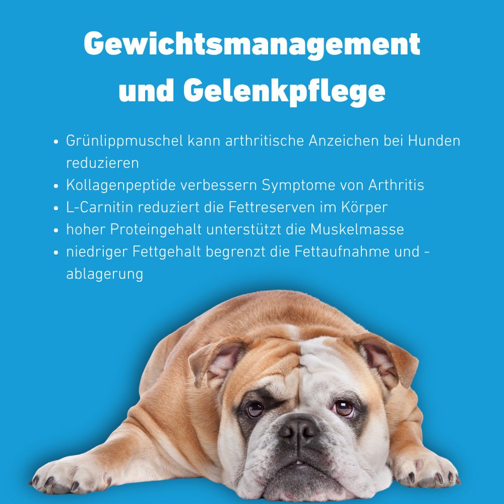 Sfondo blu con testo: Gestione del peso e cura delle articolazioni. Un cane è in basso. Testo: Cozza verde, peptidi di collagene, L-carnitina, alto contenuto proteico, basso contenuto di grassi.