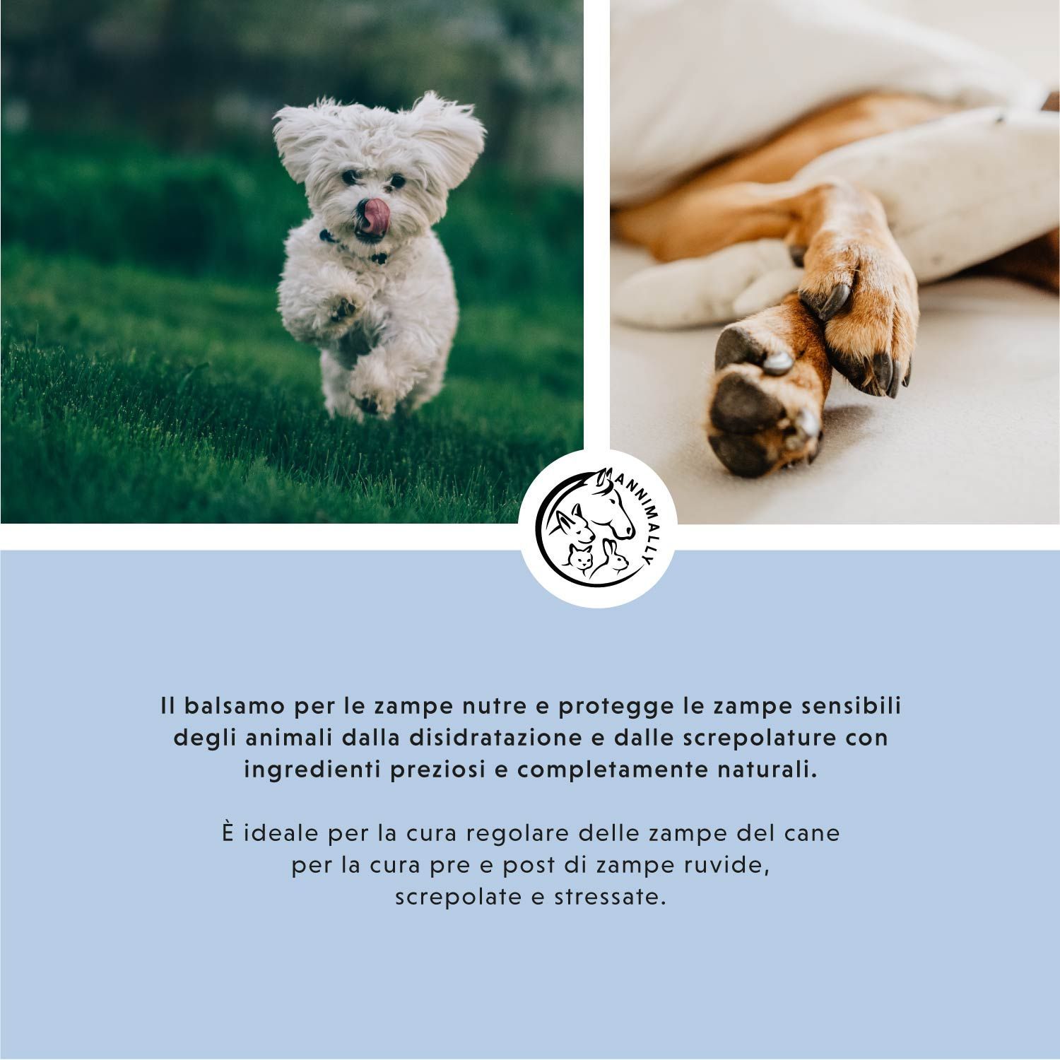 Due cani, uno corre, uno è sdraiato. Logo con cane, gatto. Testo sulla cura delle zampe con ingredienti naturali. Ideale per zampe ruvide e screpolate.