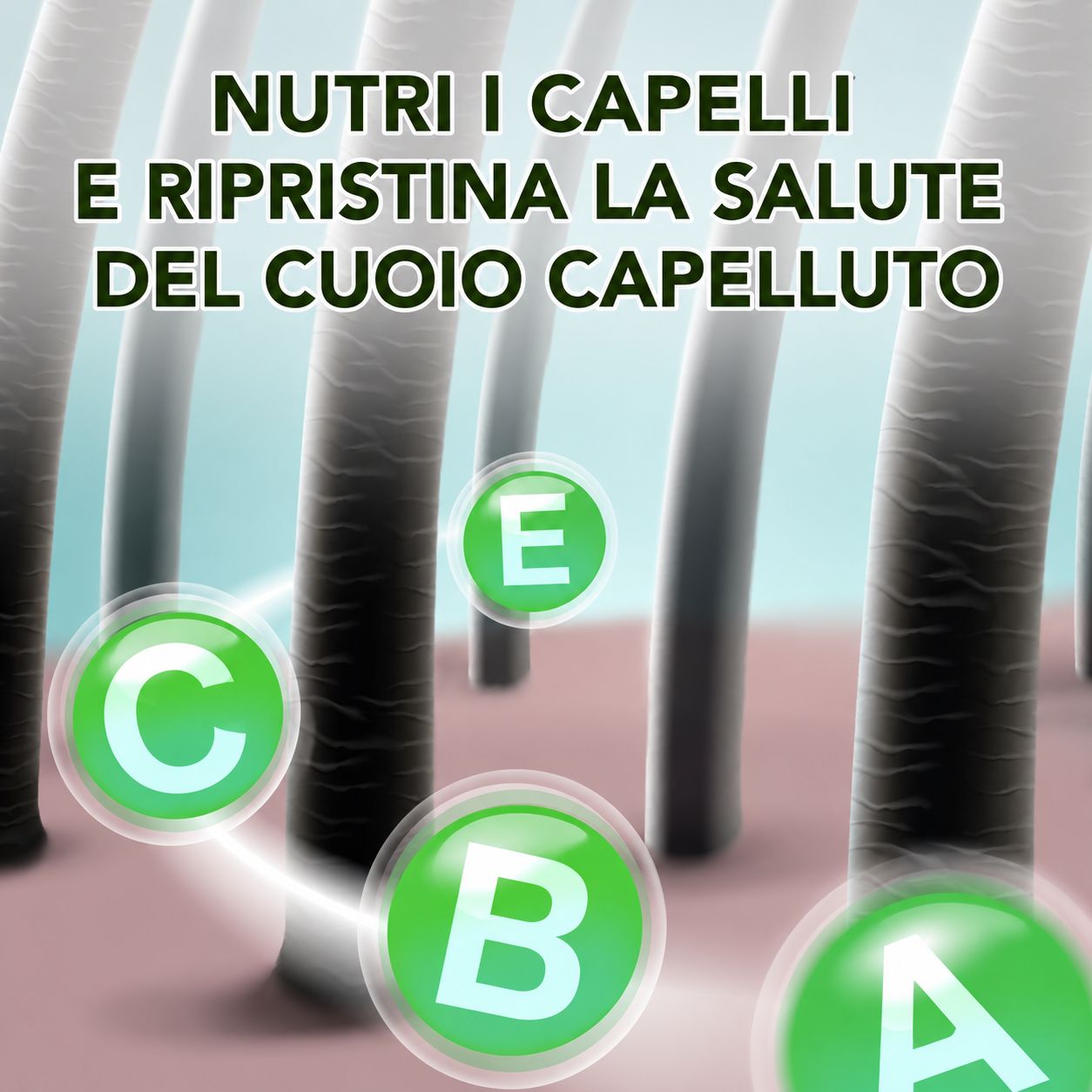 Zoxpm Olio per Capelli Amla