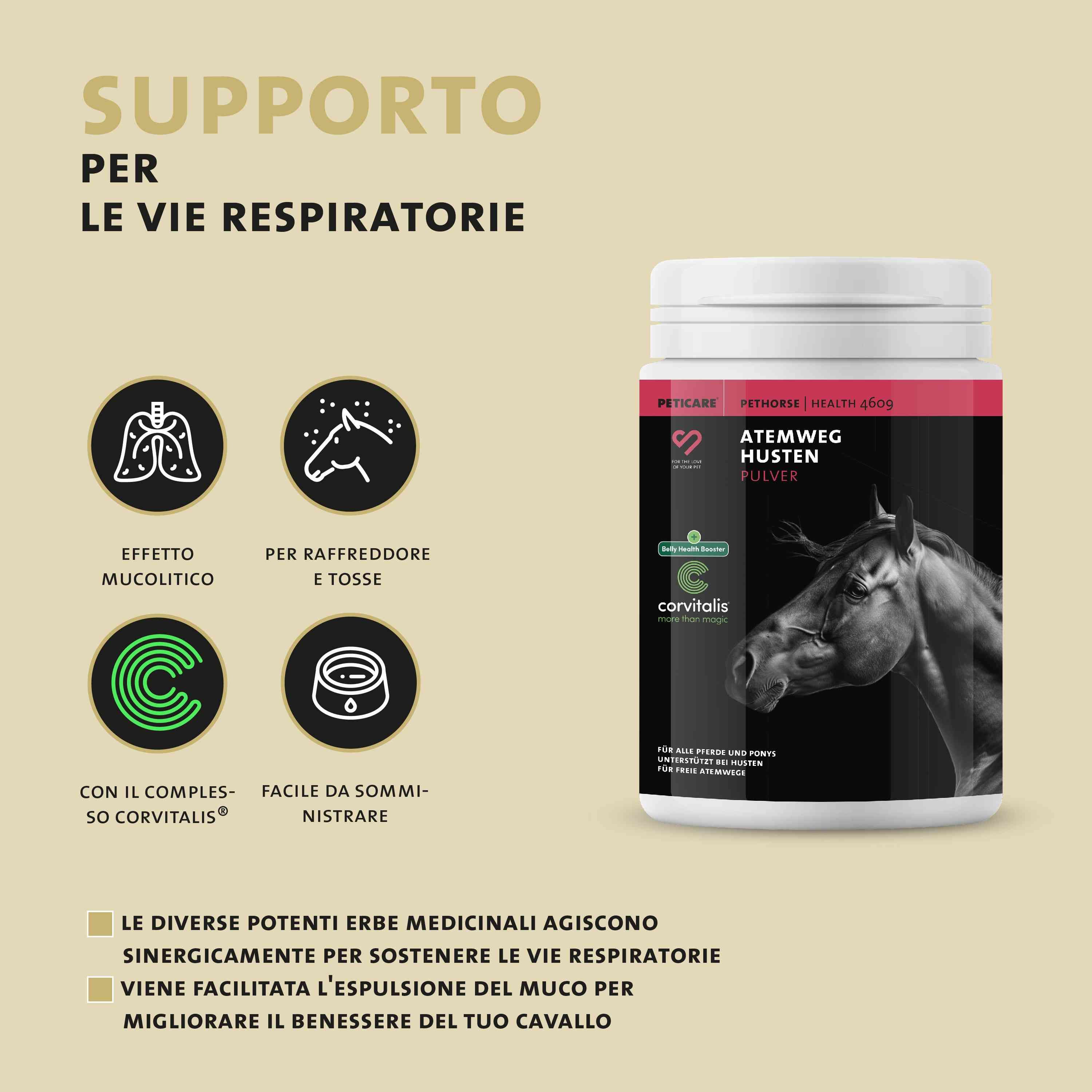 Barattolo di polvere Peticare Husten, icone: polmone, testa di cavallo, C, ciotola.